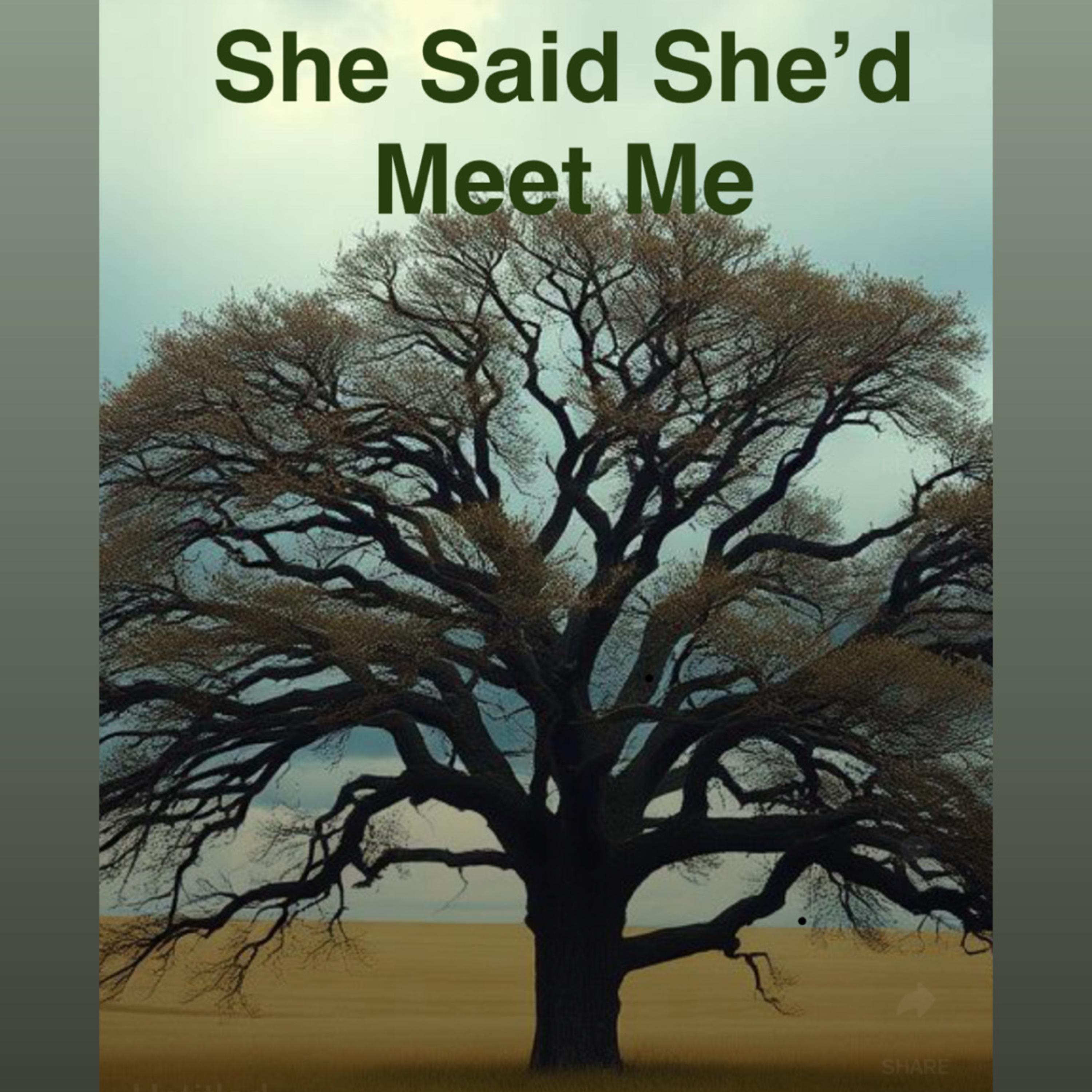 She Said She’d Meet Me artwork