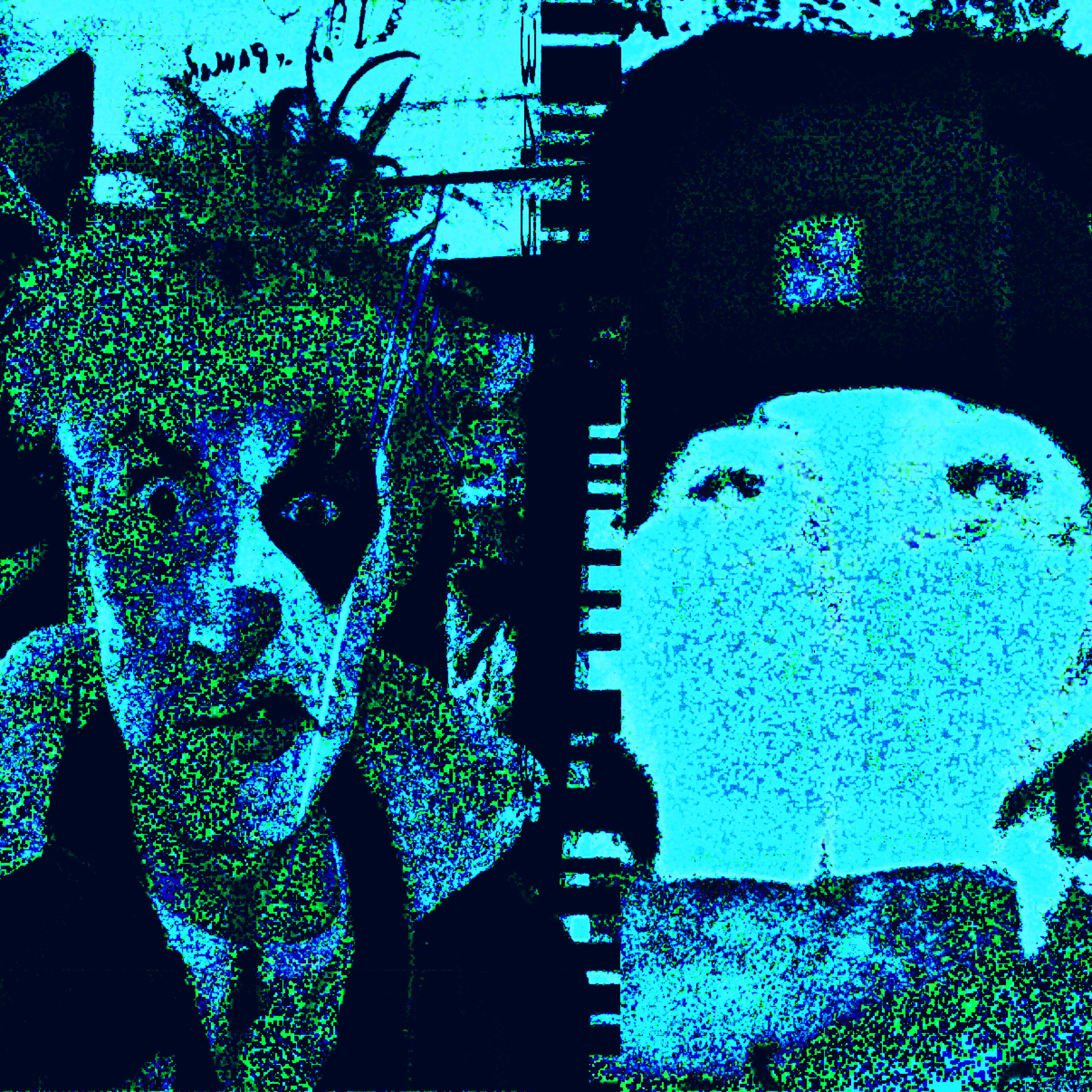 Benzos artwork
