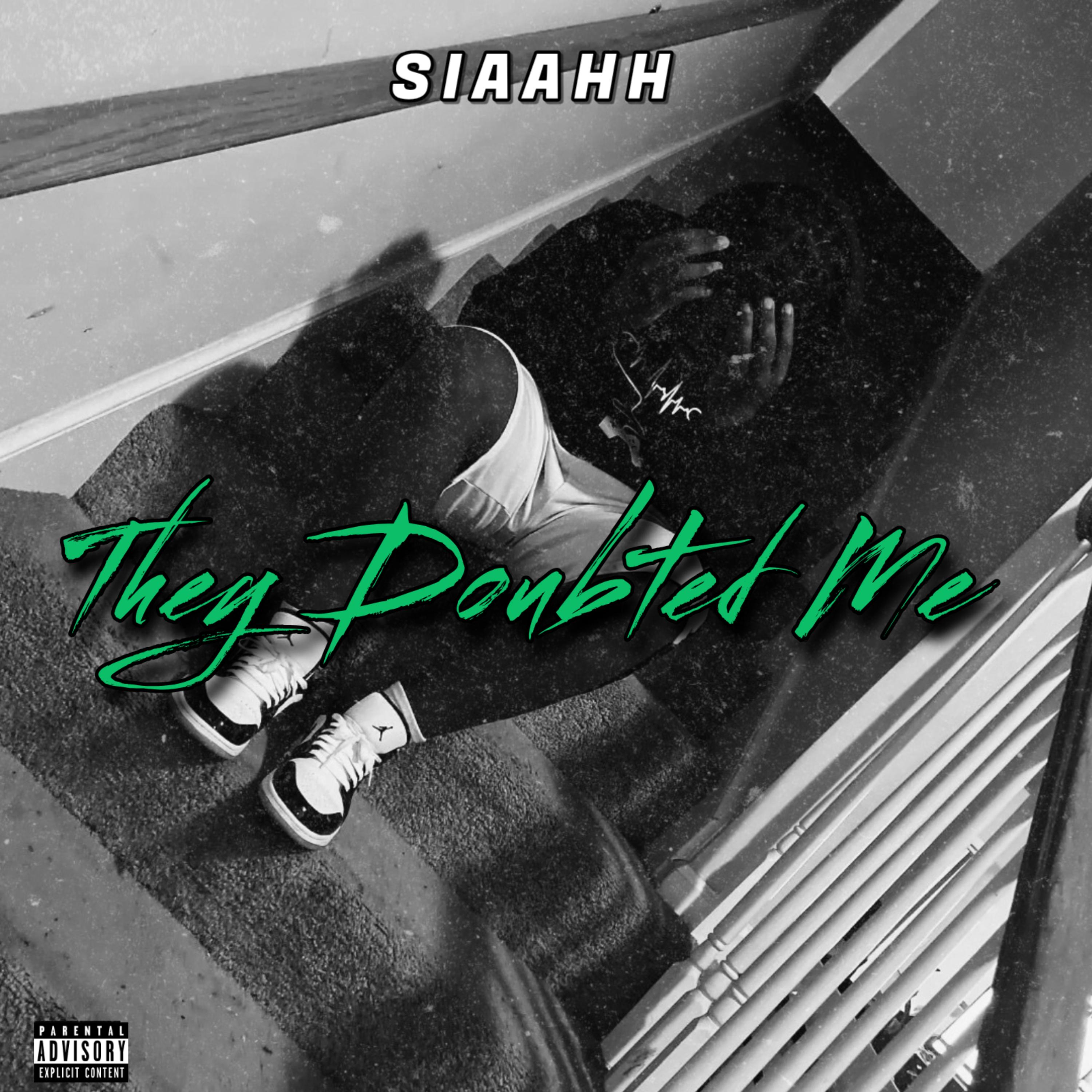 They Doubted Me artwork