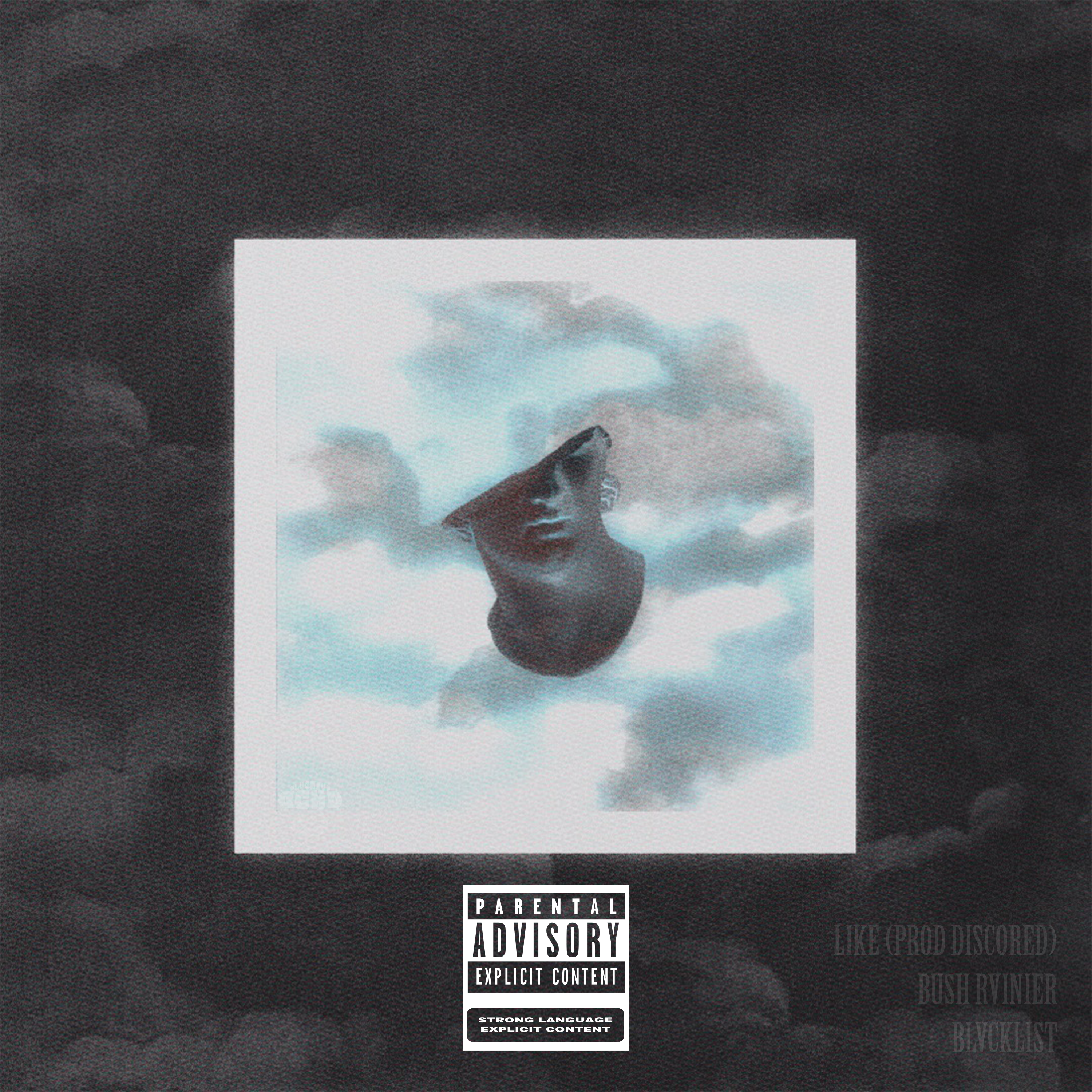 LIKE by Bush Rainier cover art