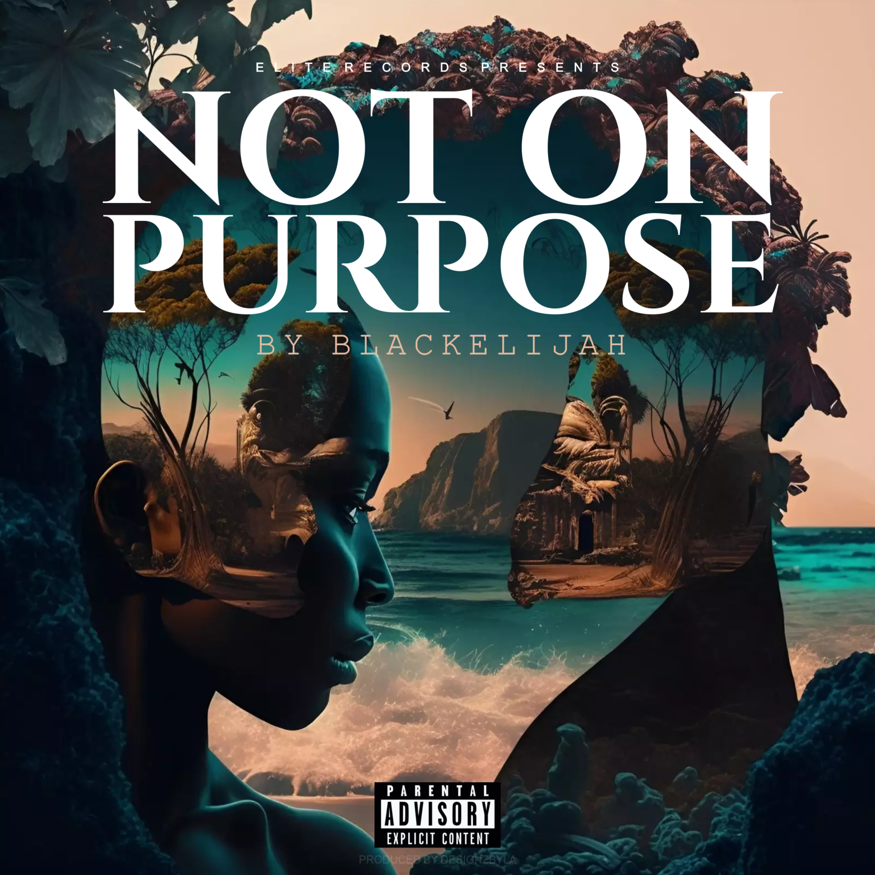 Not On Purpose artwork