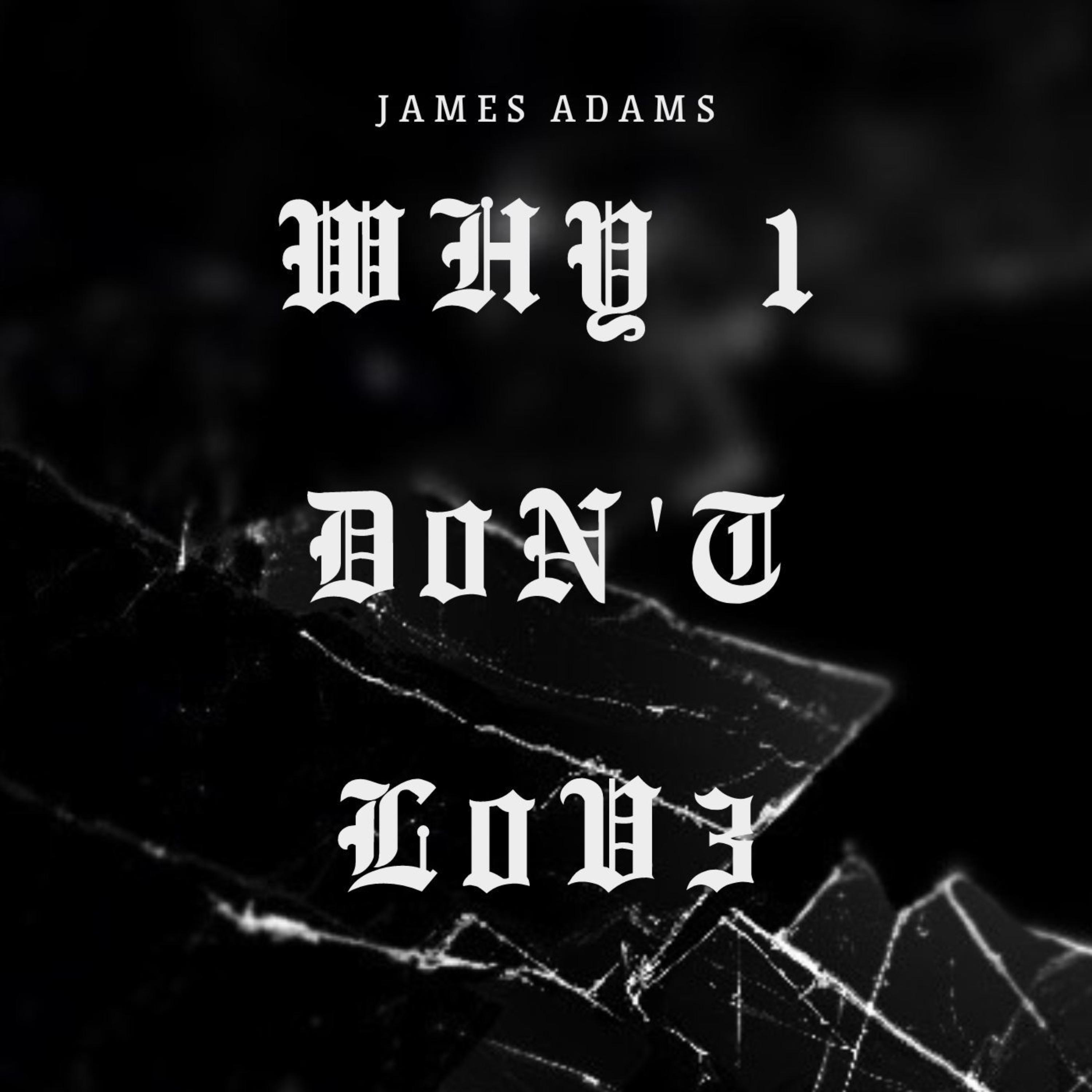 Why I Don't Love by James Adams cover art