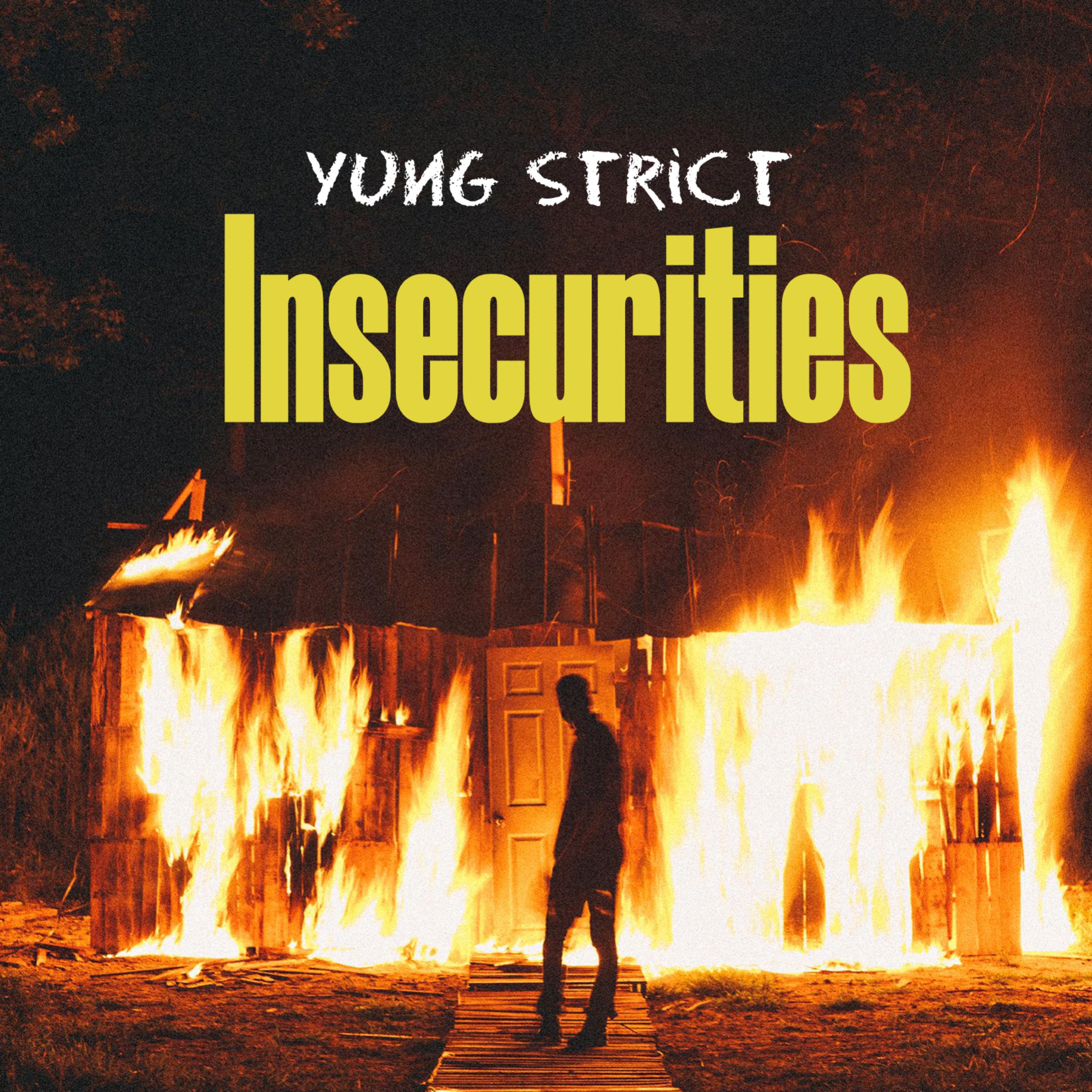 Insecurities artwork