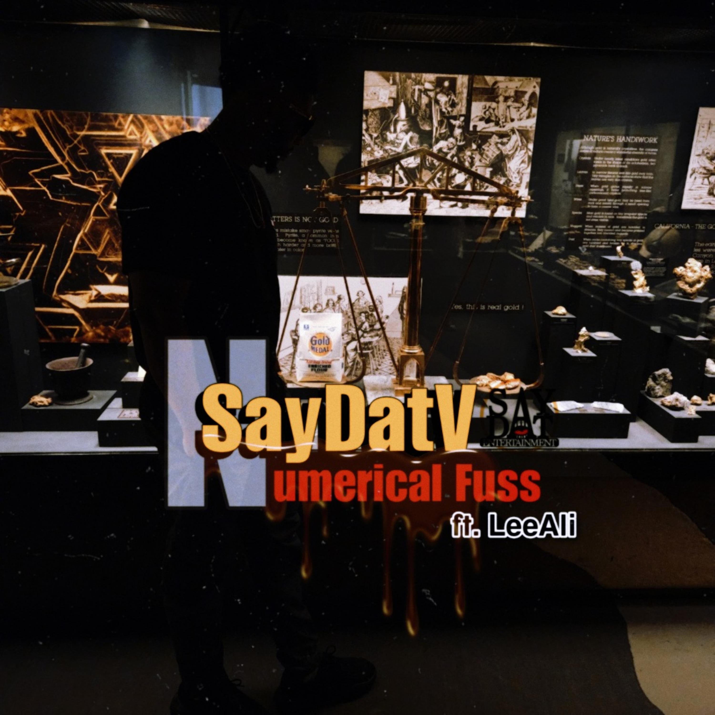 Numerical Fuss artwork