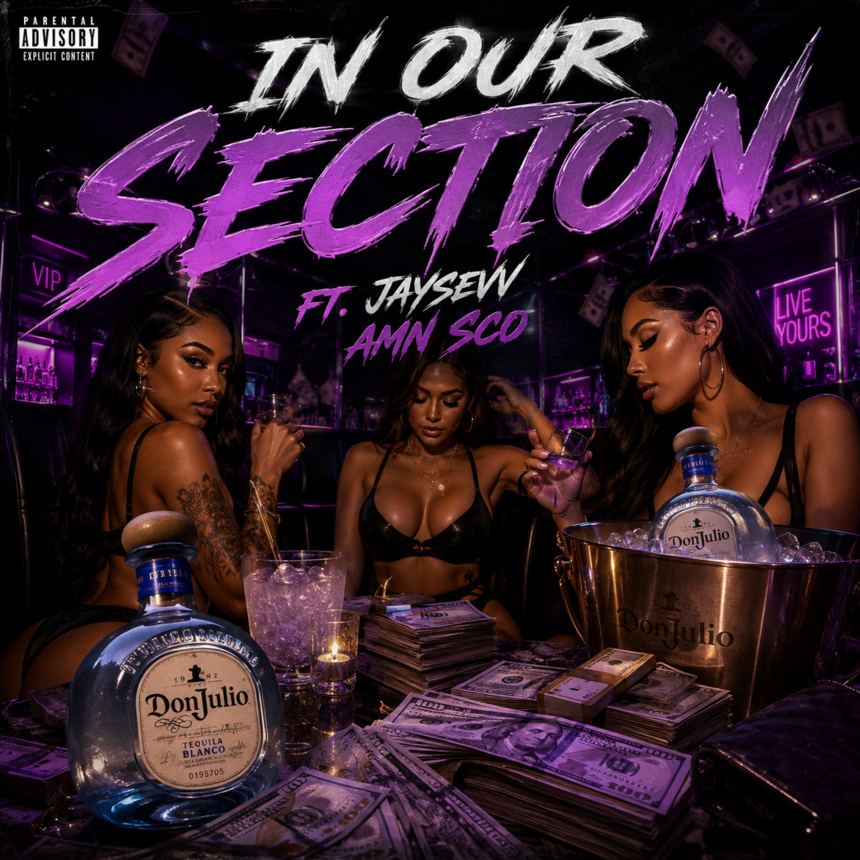 In Our Section by Fxce cover art