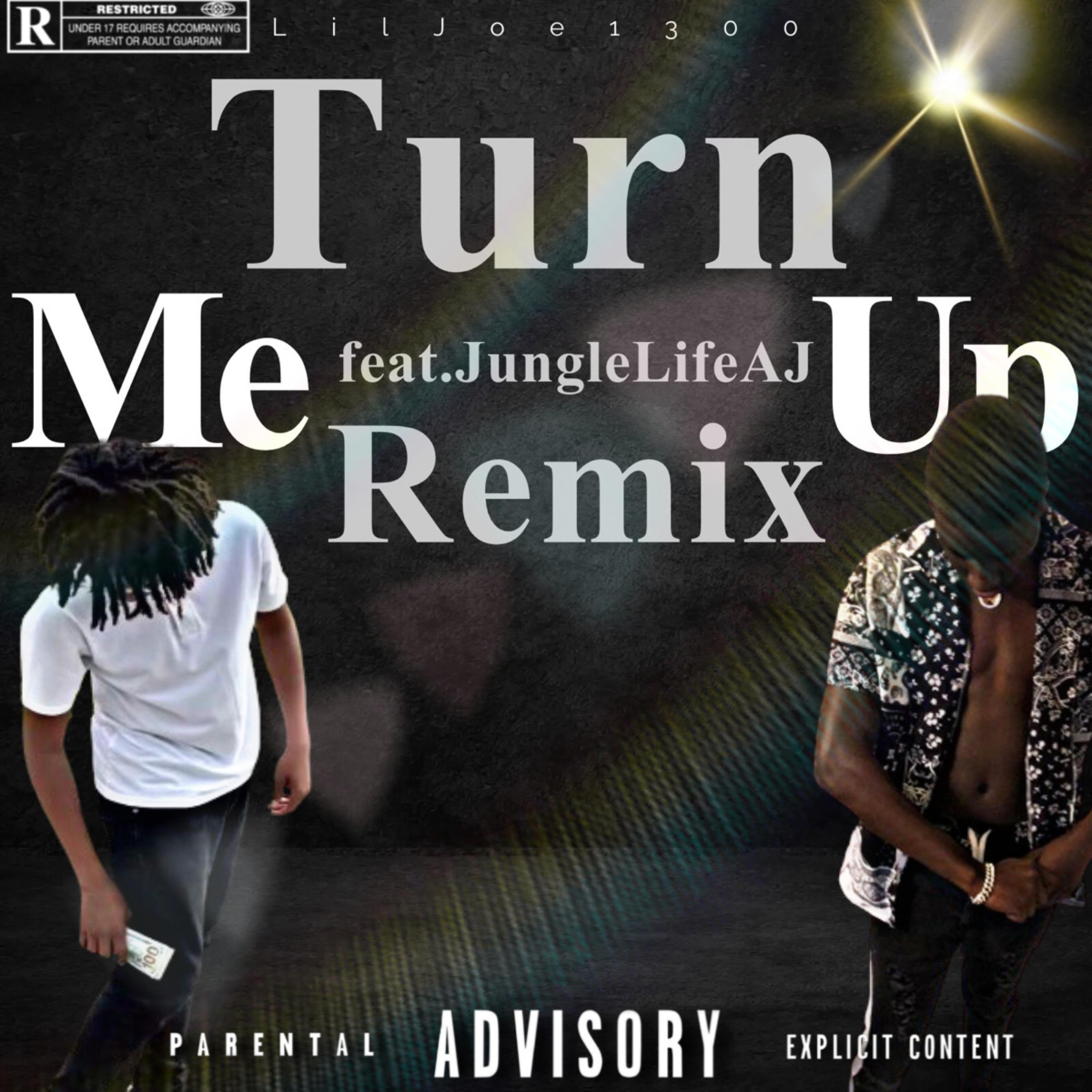Turn Me Up (Remix) artwork