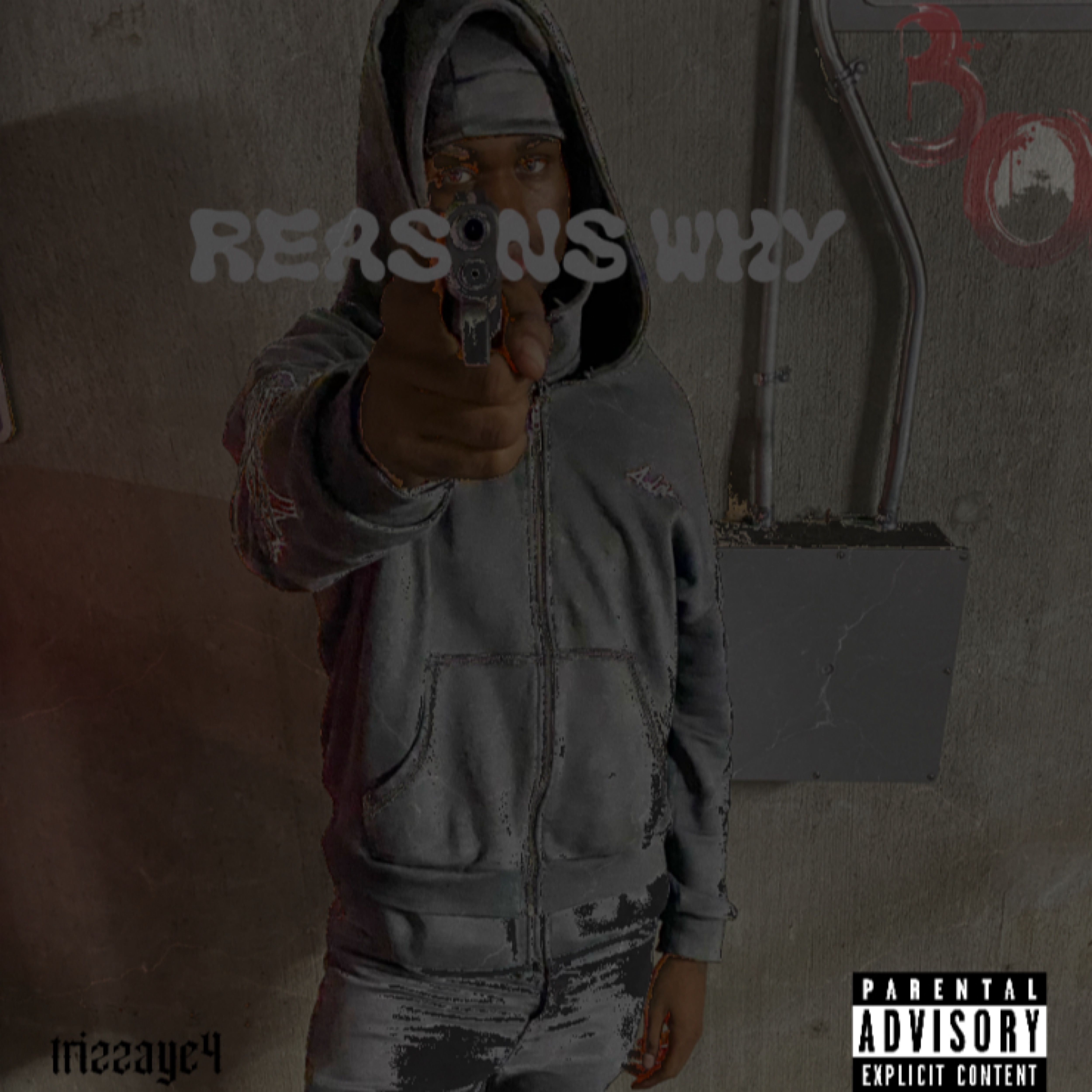Reasons Why artwork