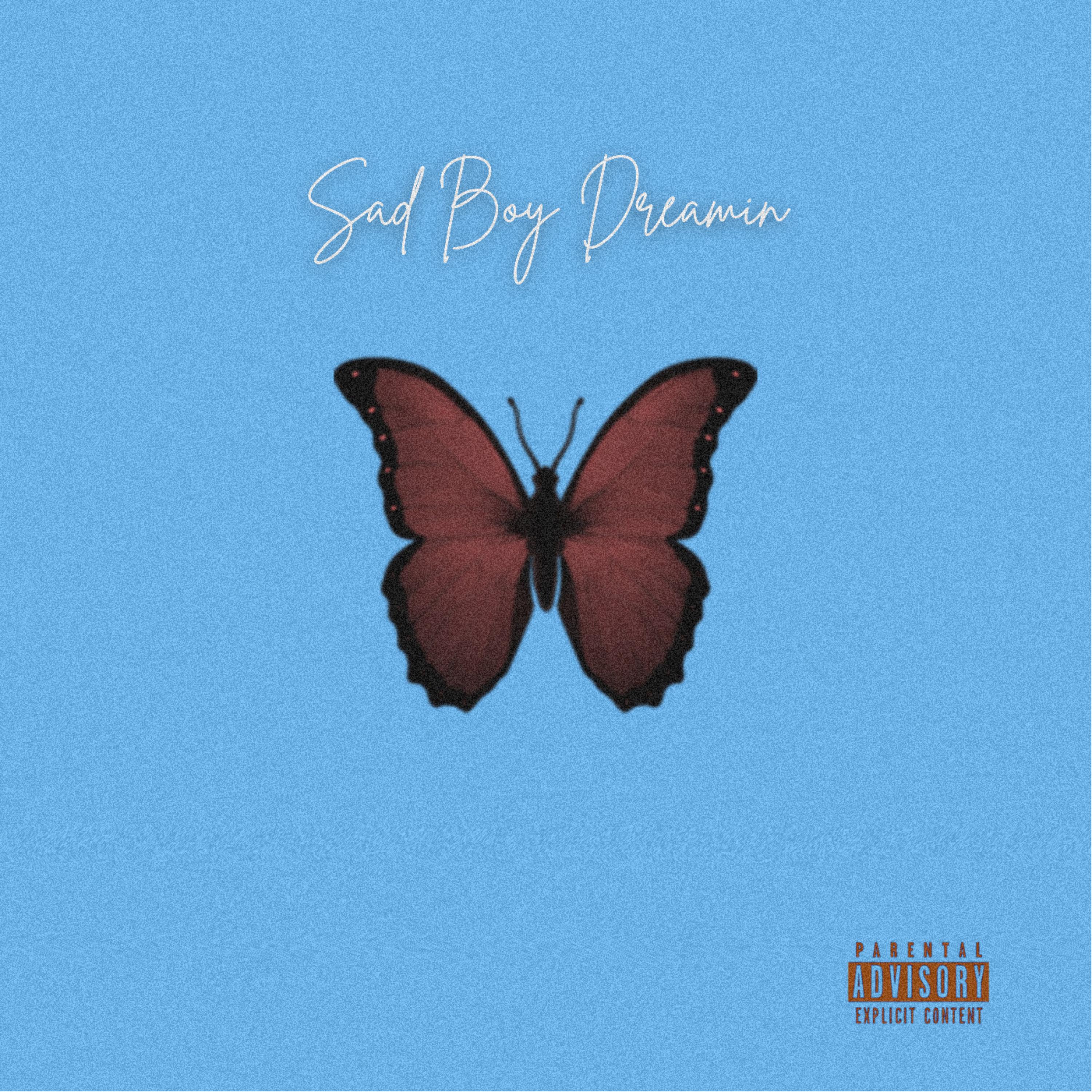 Sad Boy Dreamin artwork