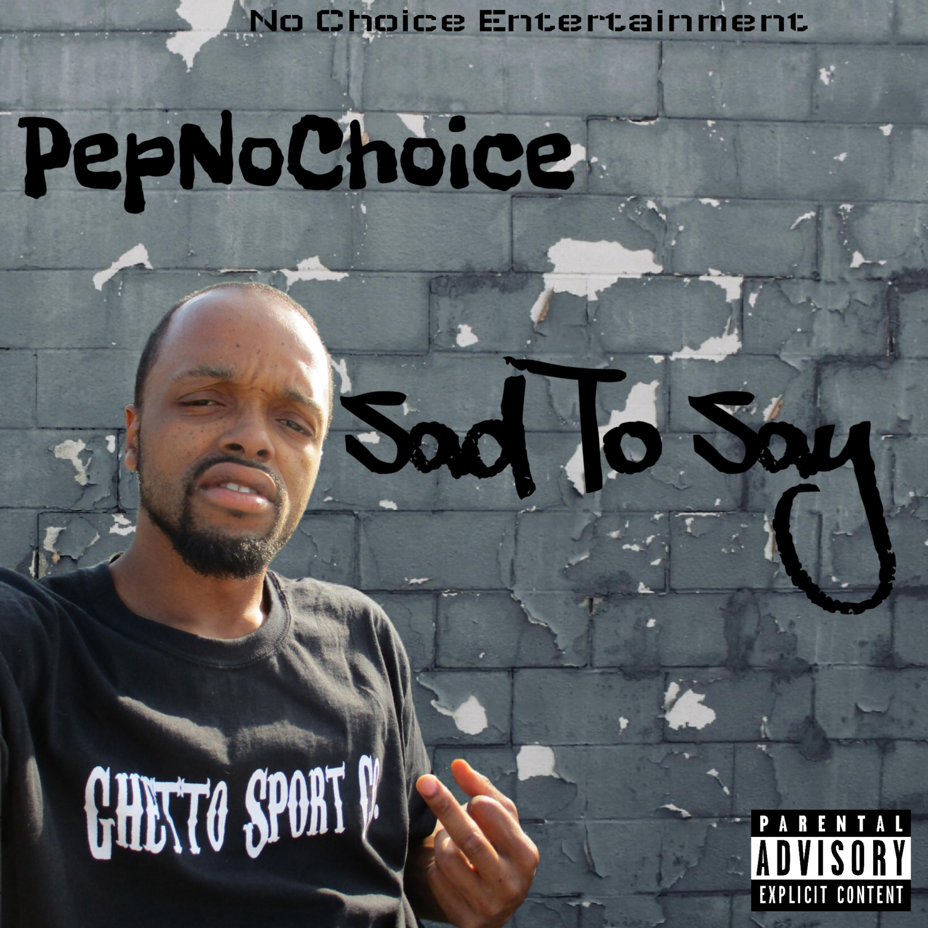Sad To Say  artwork