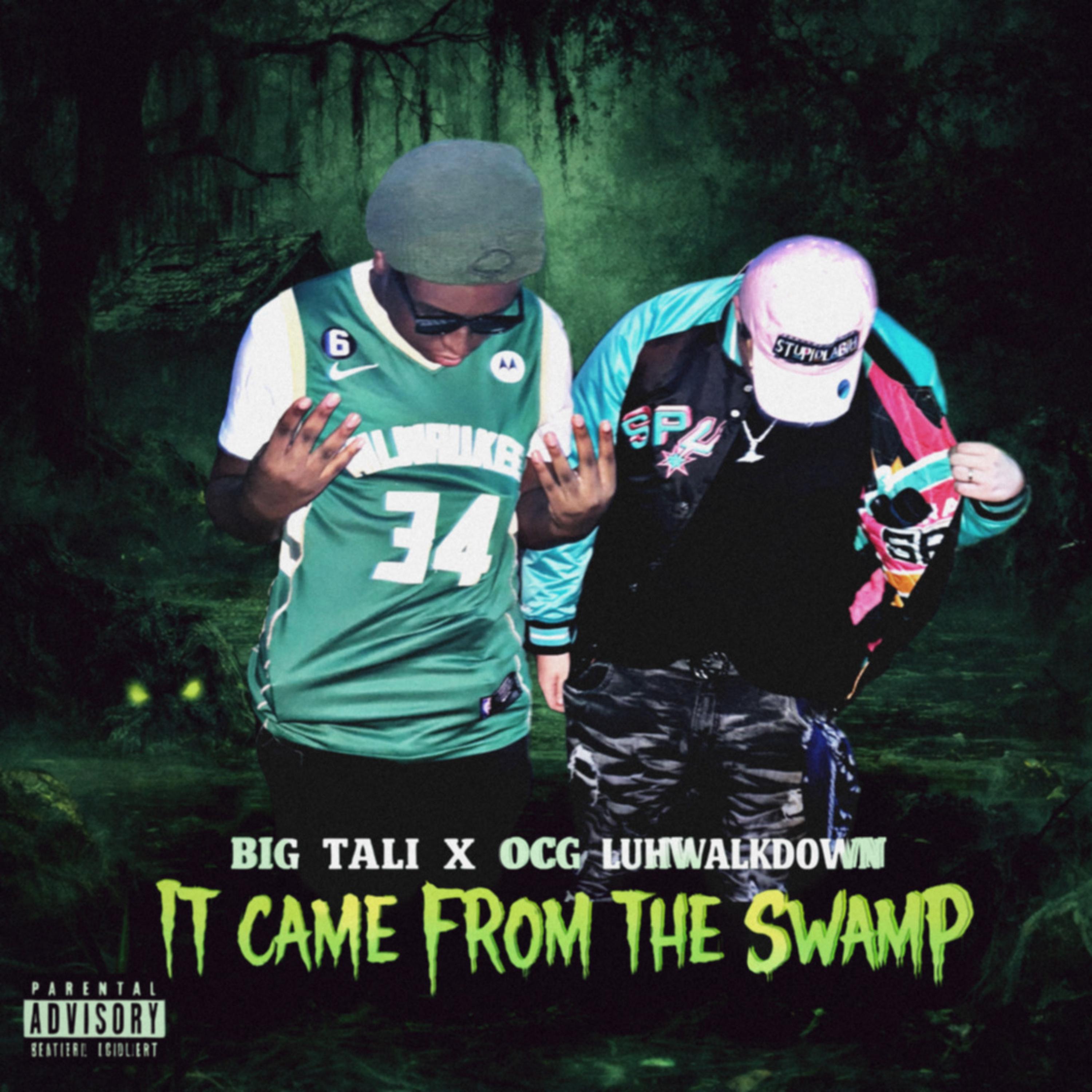 It Came From The Swamp artwork