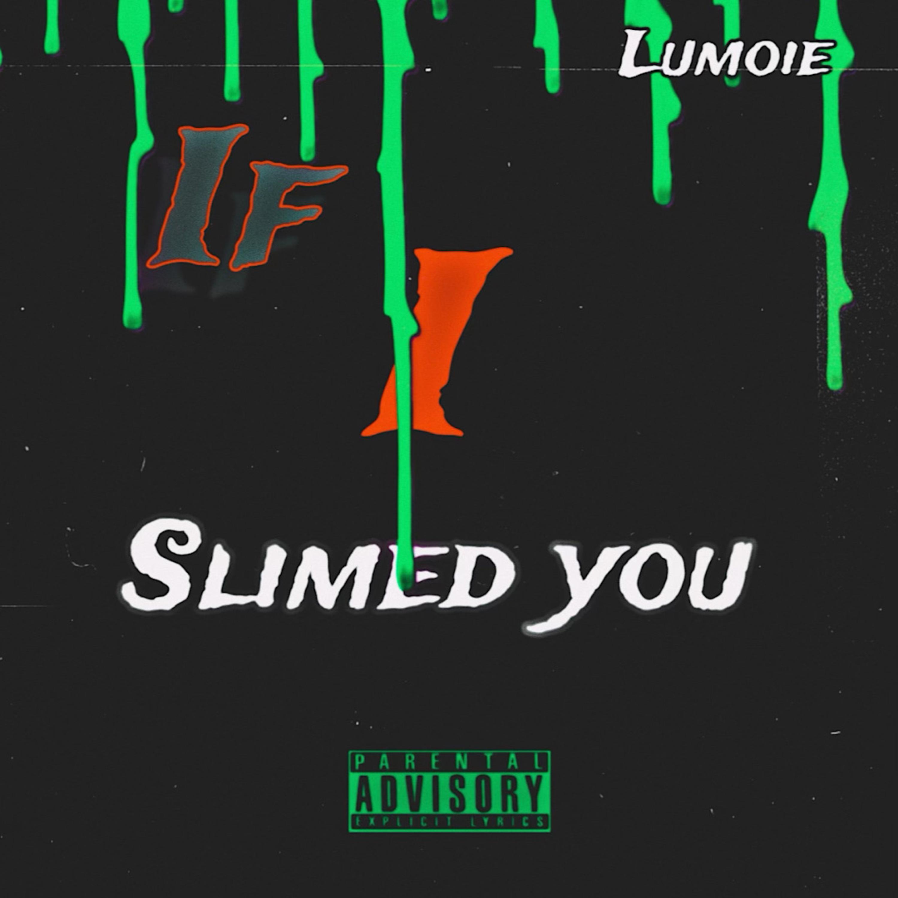 IF I SLIMED YOU artwork
