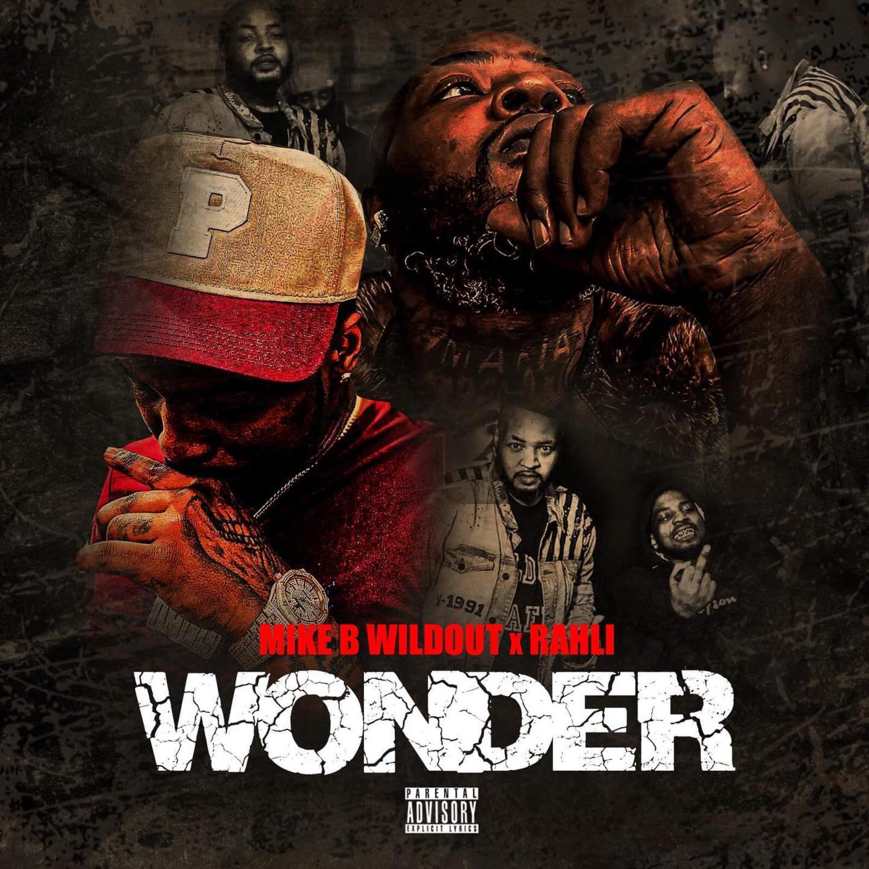 Wonder artwork