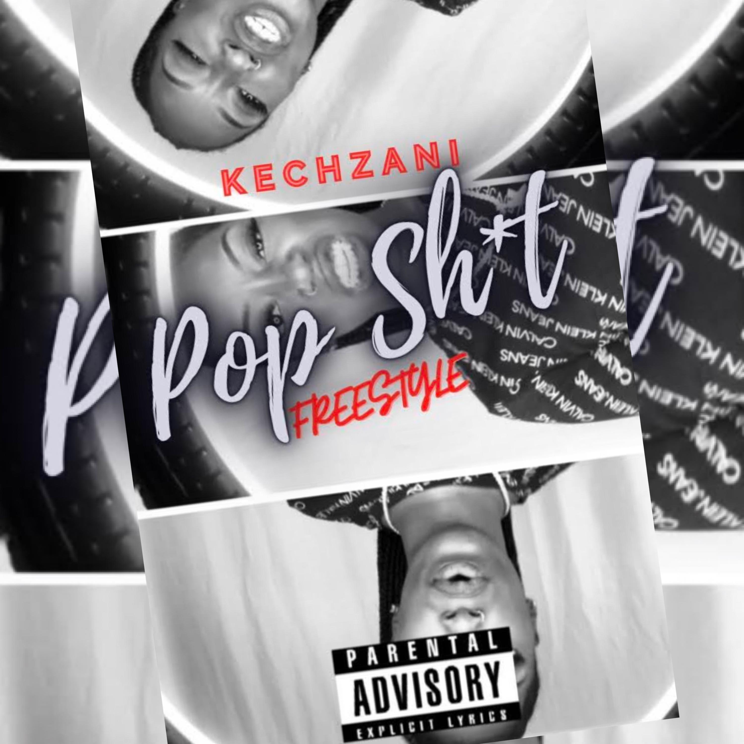 Pop Shit (Freestyle) artwork
