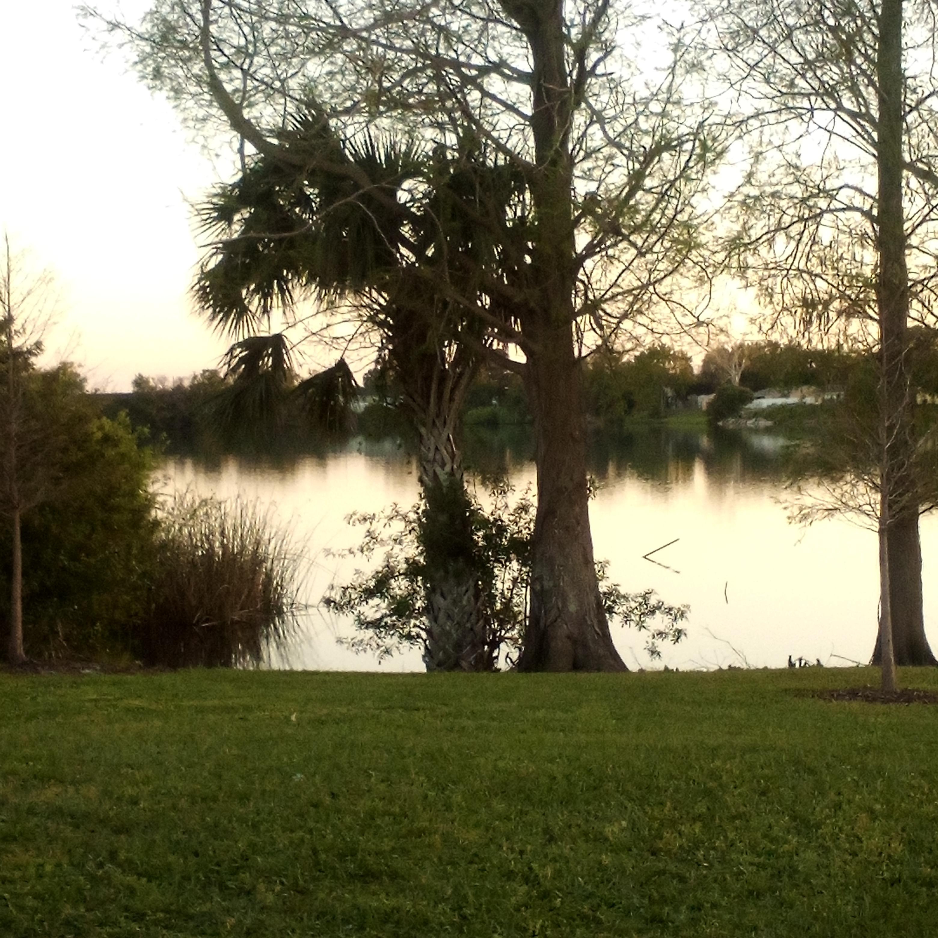 Close To GOD artwork