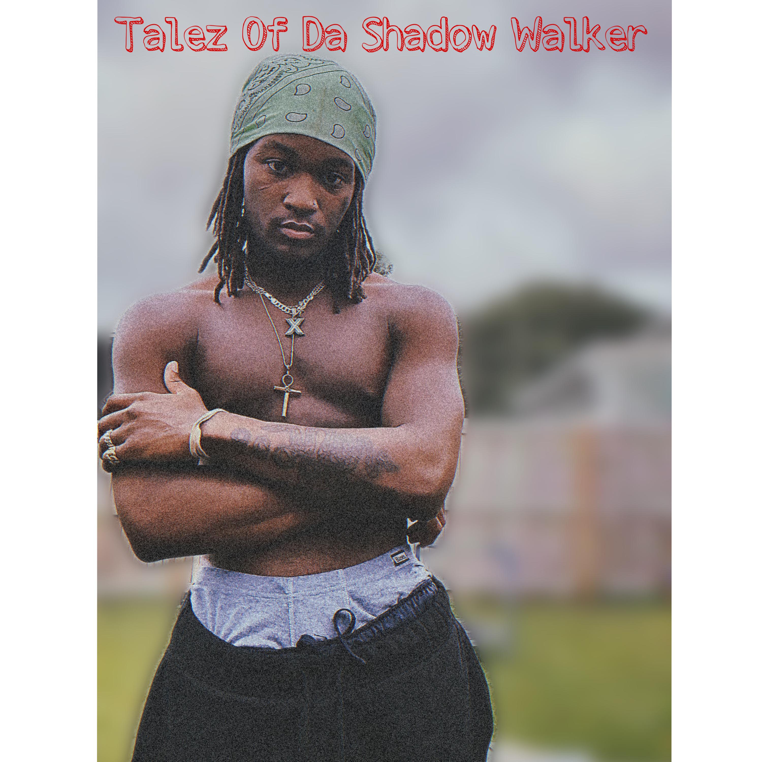 Talez Of Da Shadow Walker artwork
