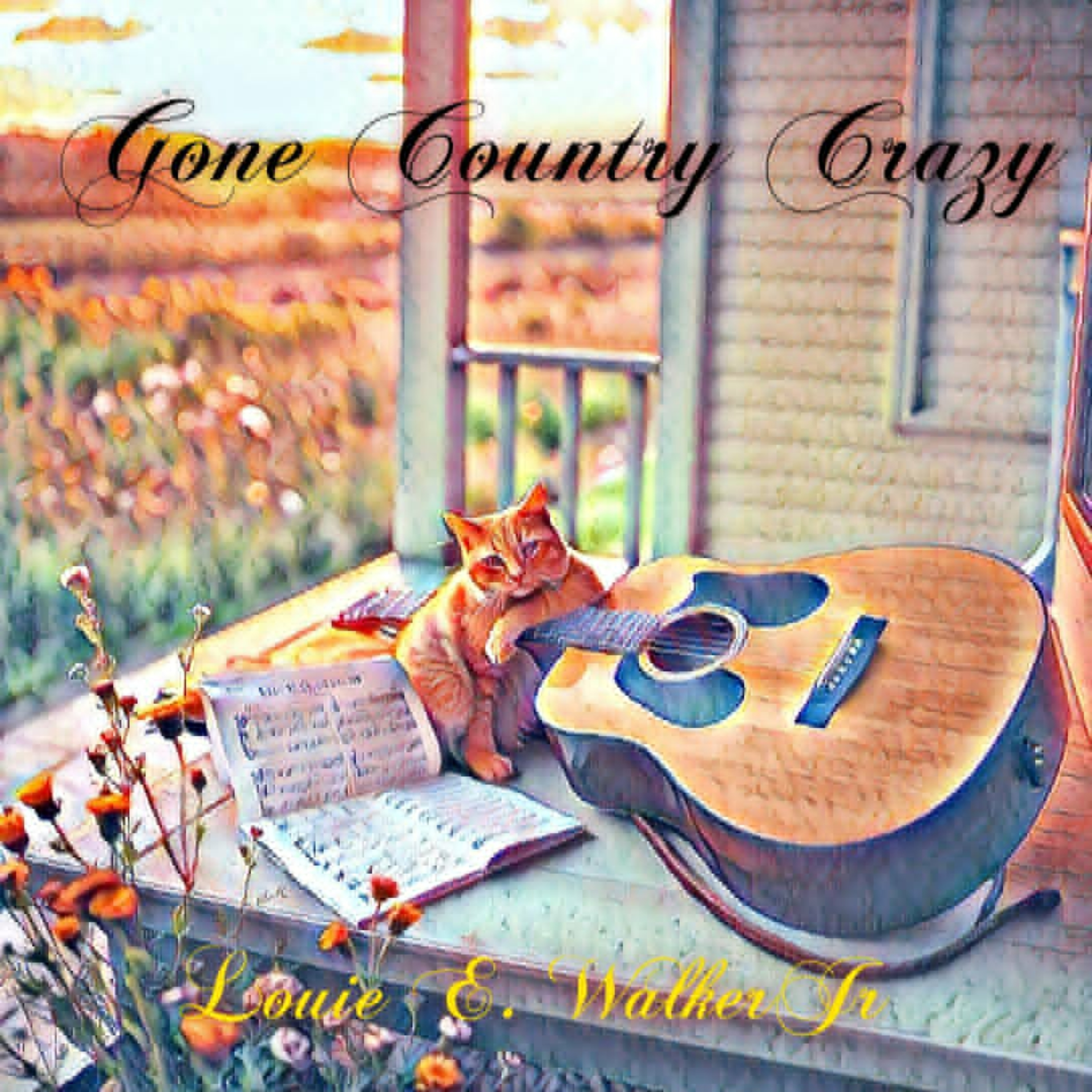 Gone Country Crazy by Louie E. Walker Jr cover art