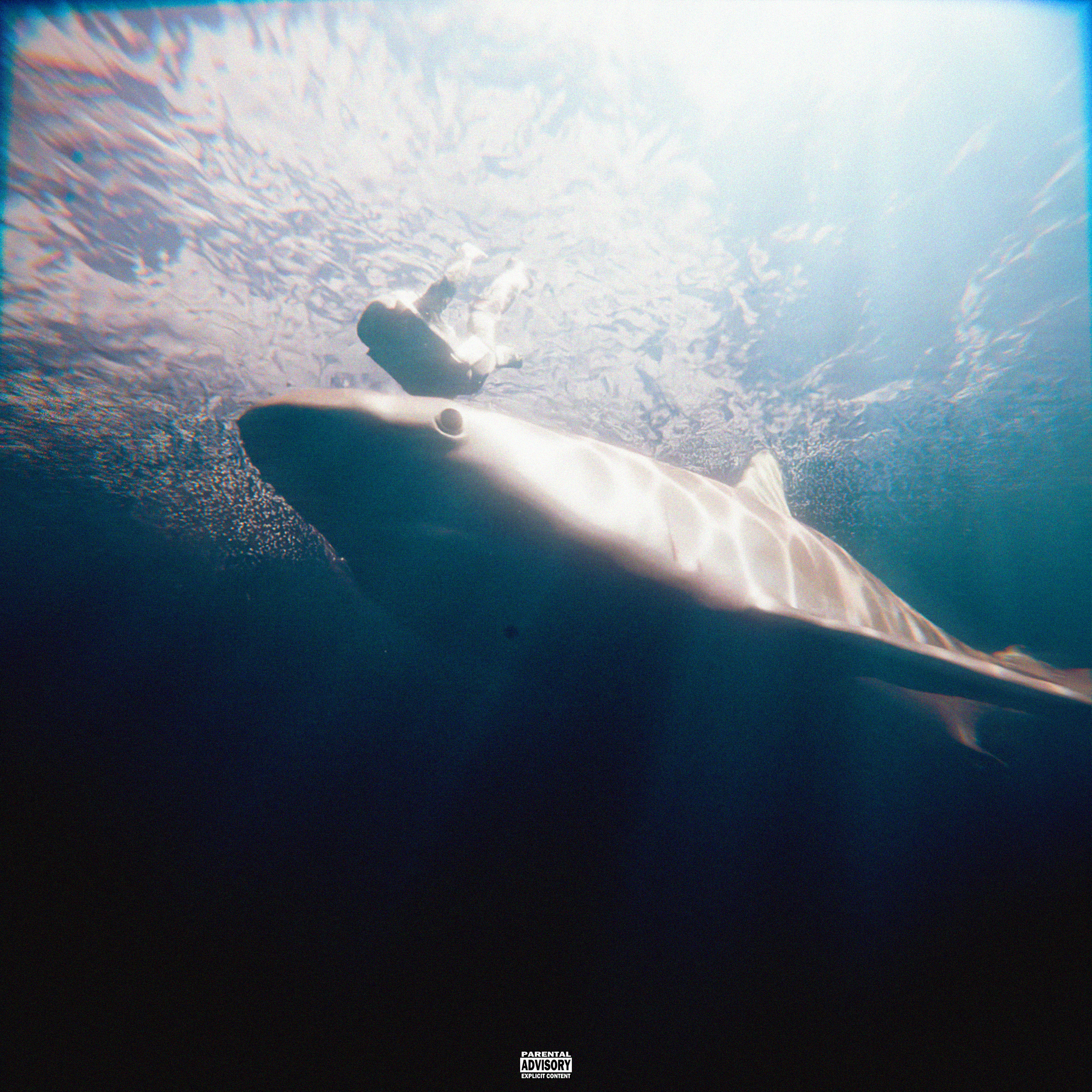 NOTHING LIKE YOU artwork
