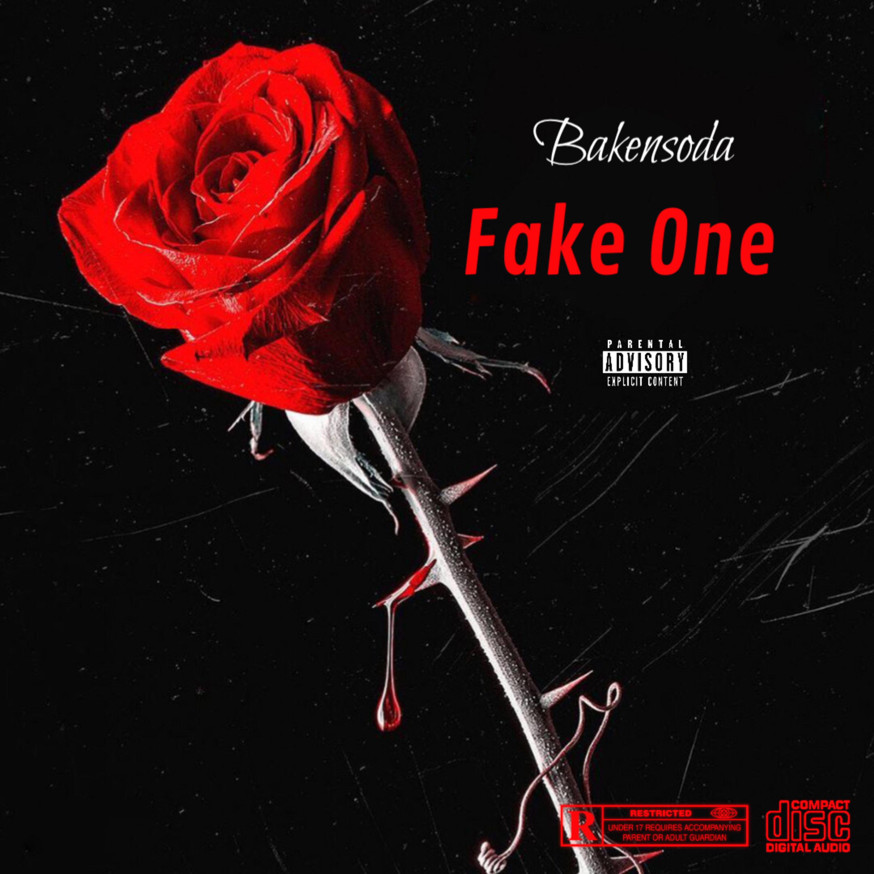 Fake One artwork