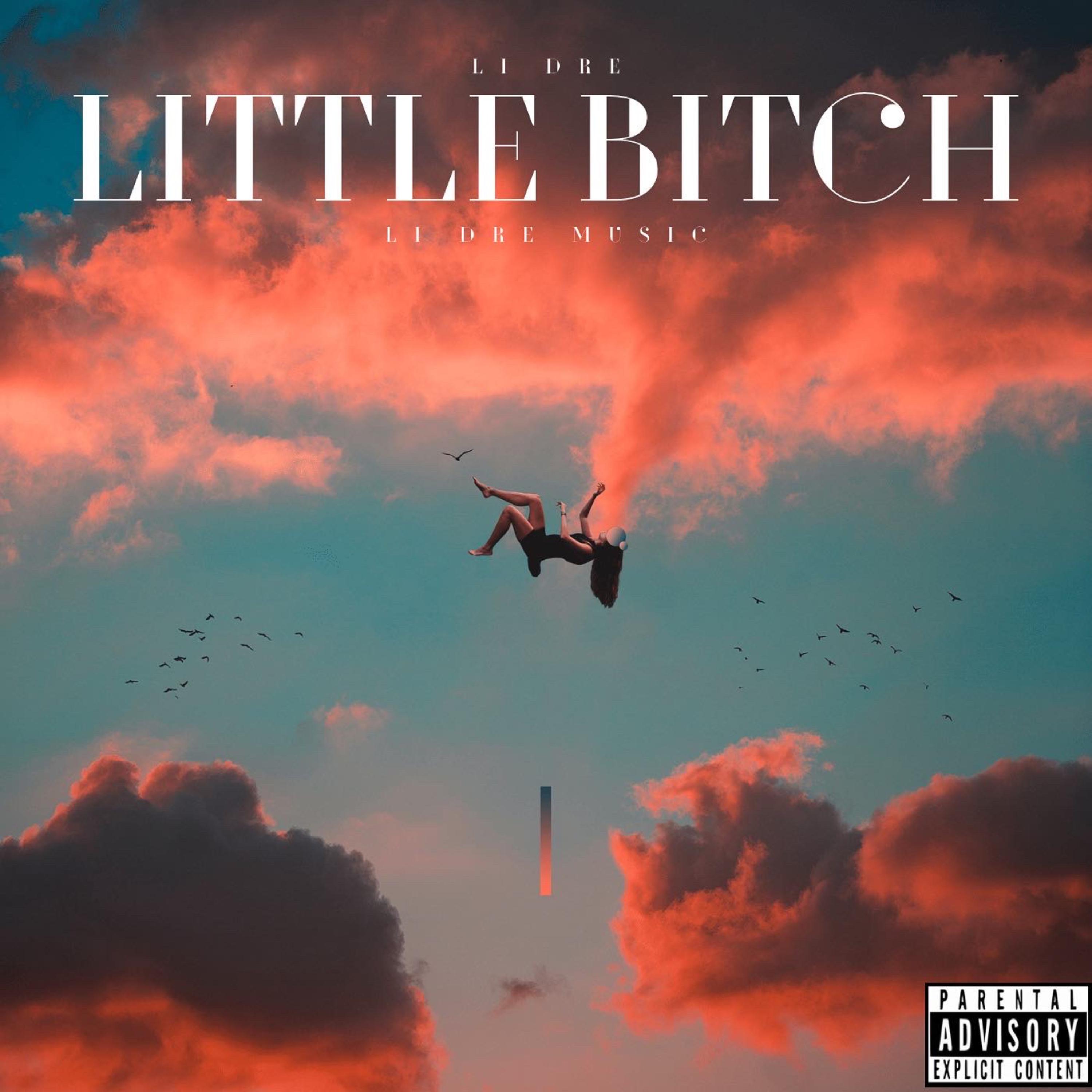 little bitch by Li Dre cover art