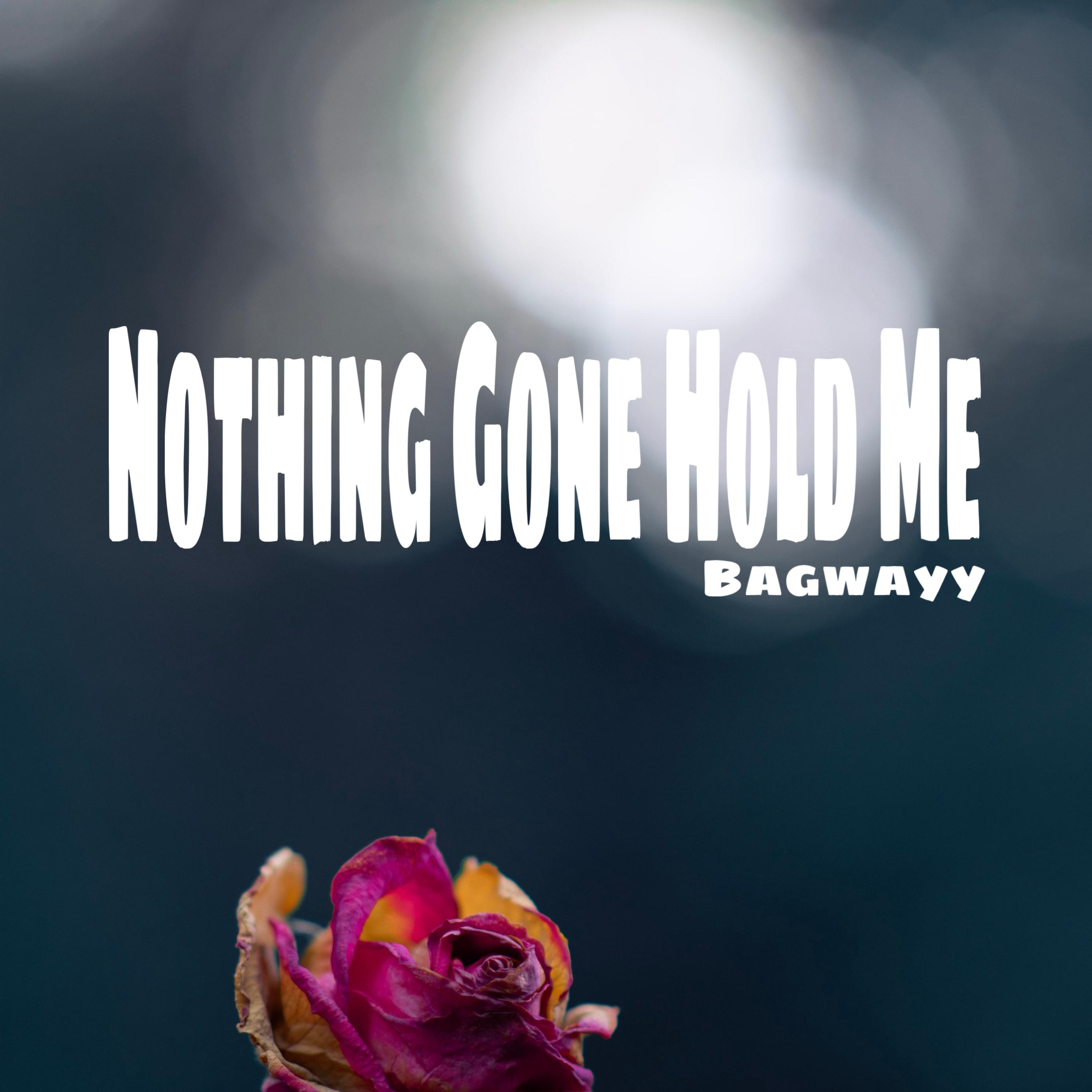 Nothing Gone Hold Me artwork