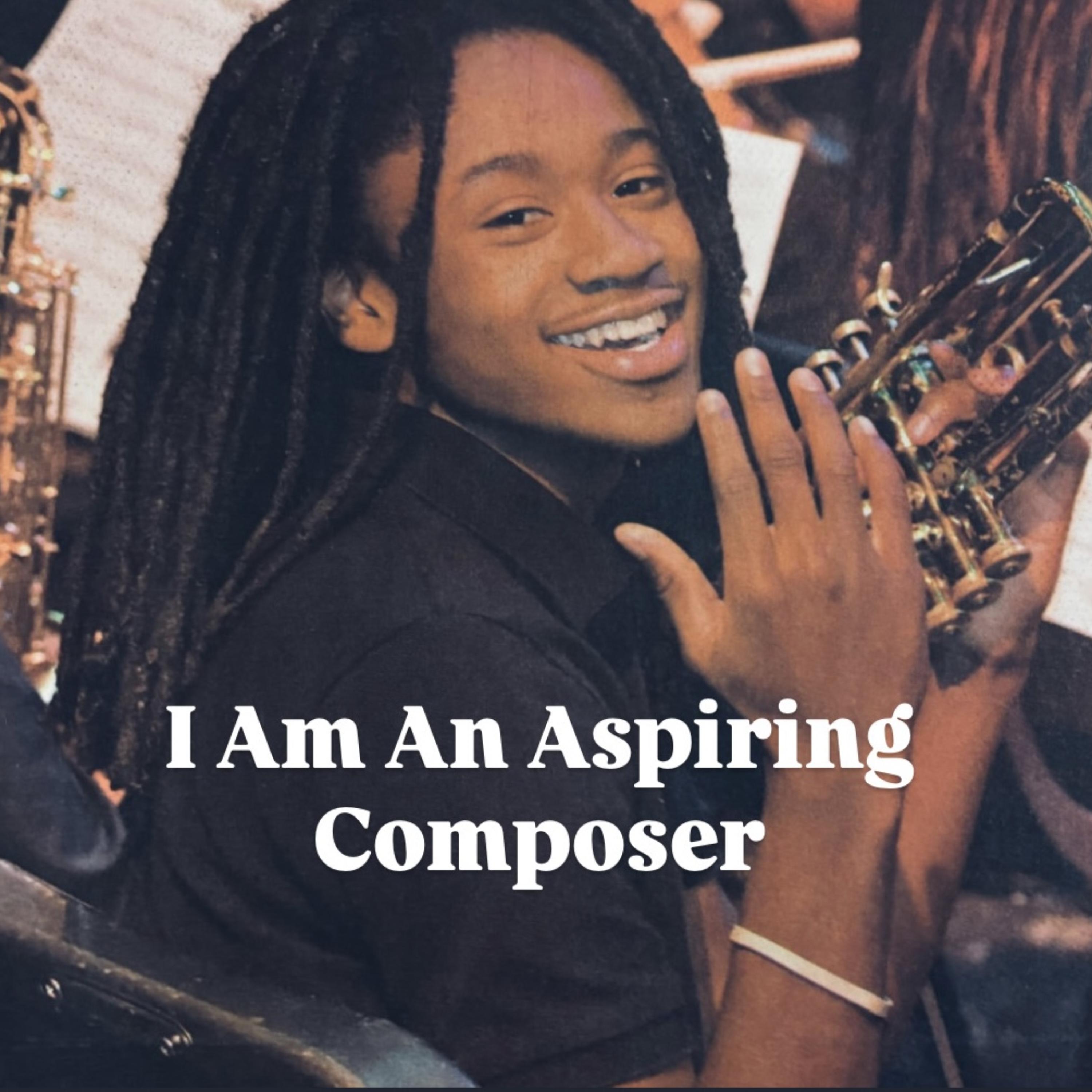 I Am An Aspiring Composer artwork