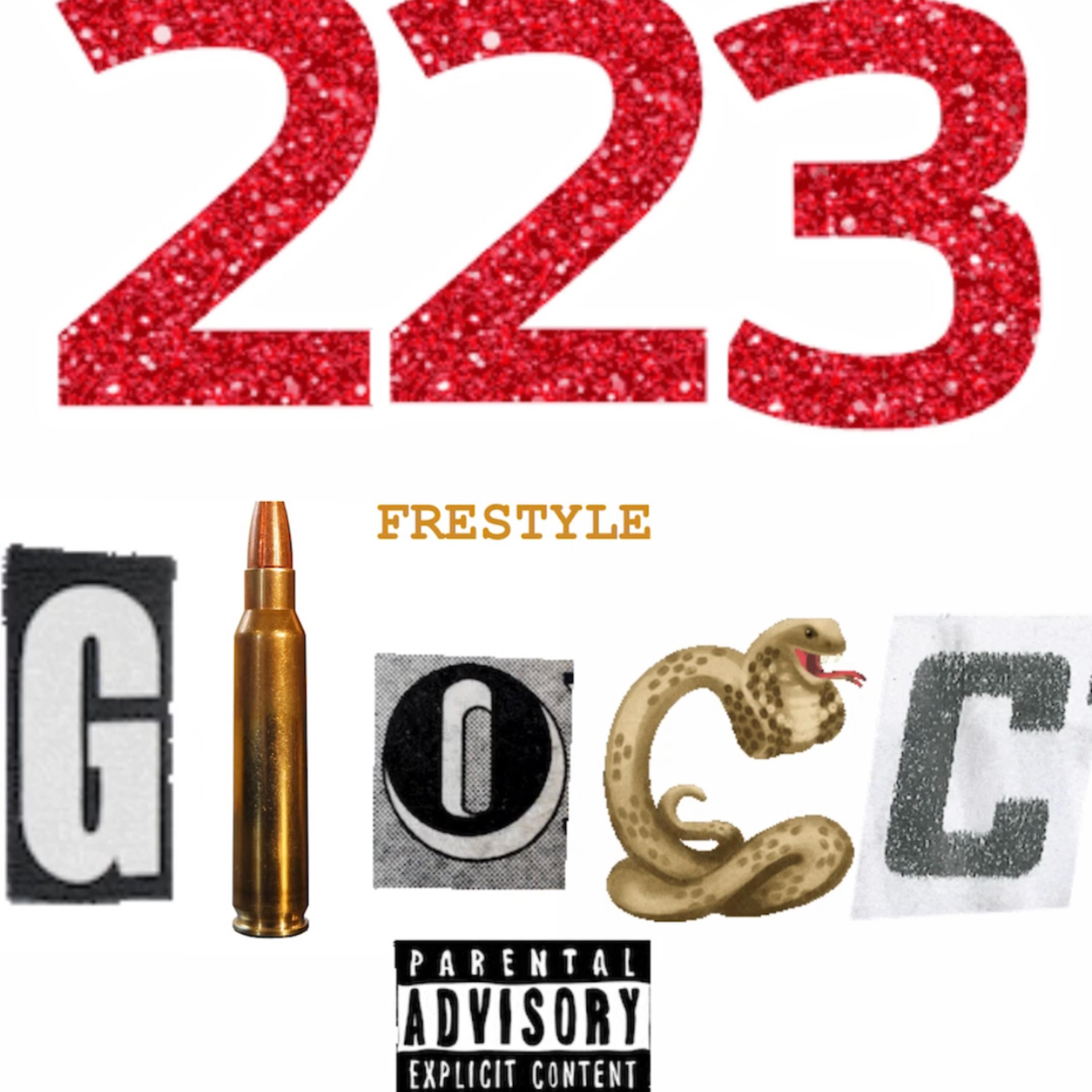 223 (freestyle) by Dub5 cover art
