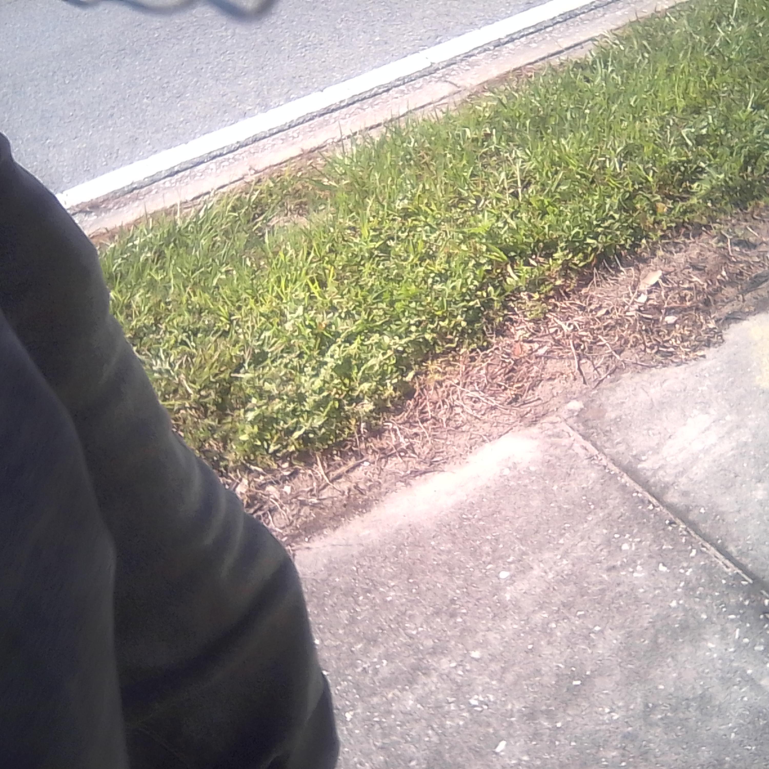 #RighteousCause artwork