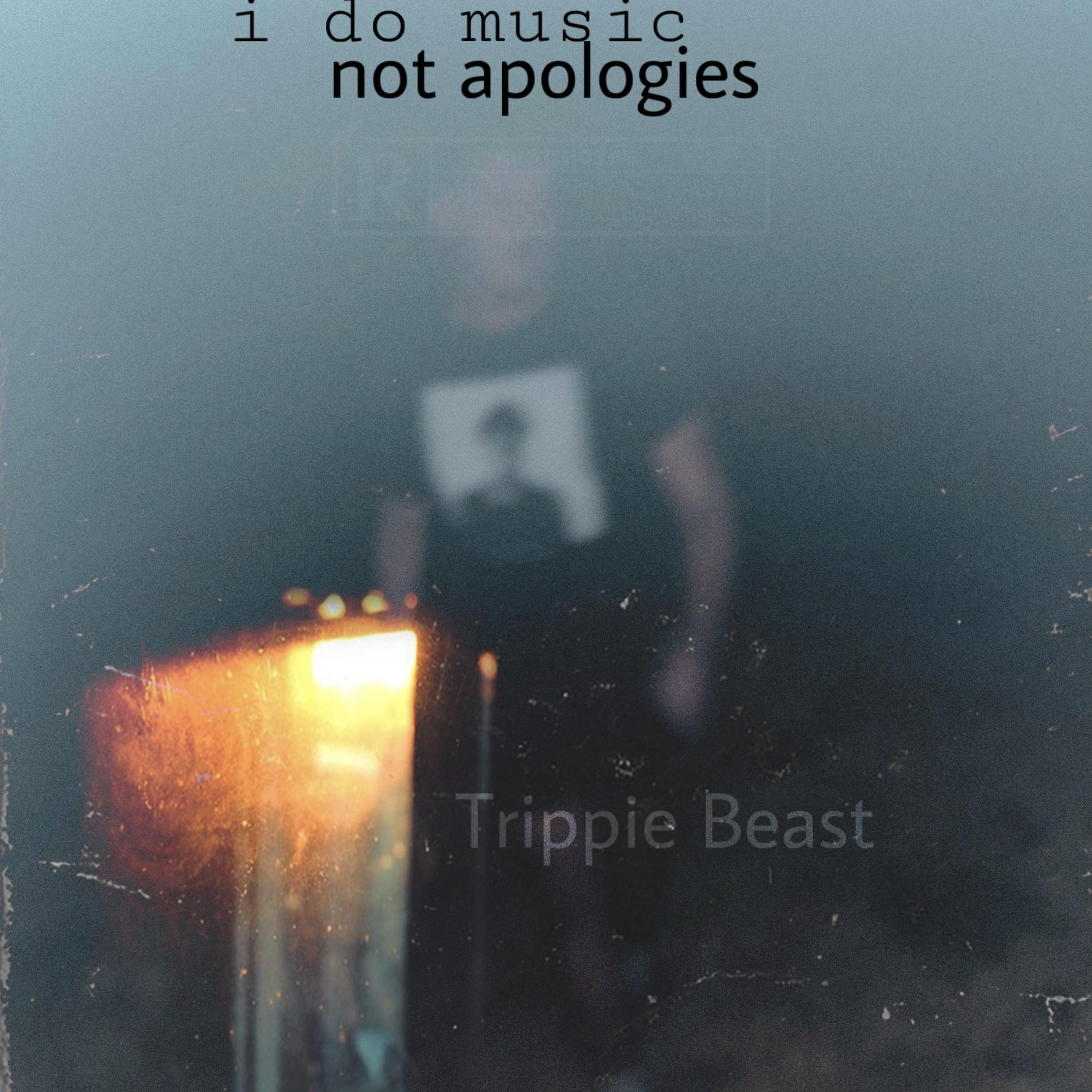 i do music, not apologies artwork