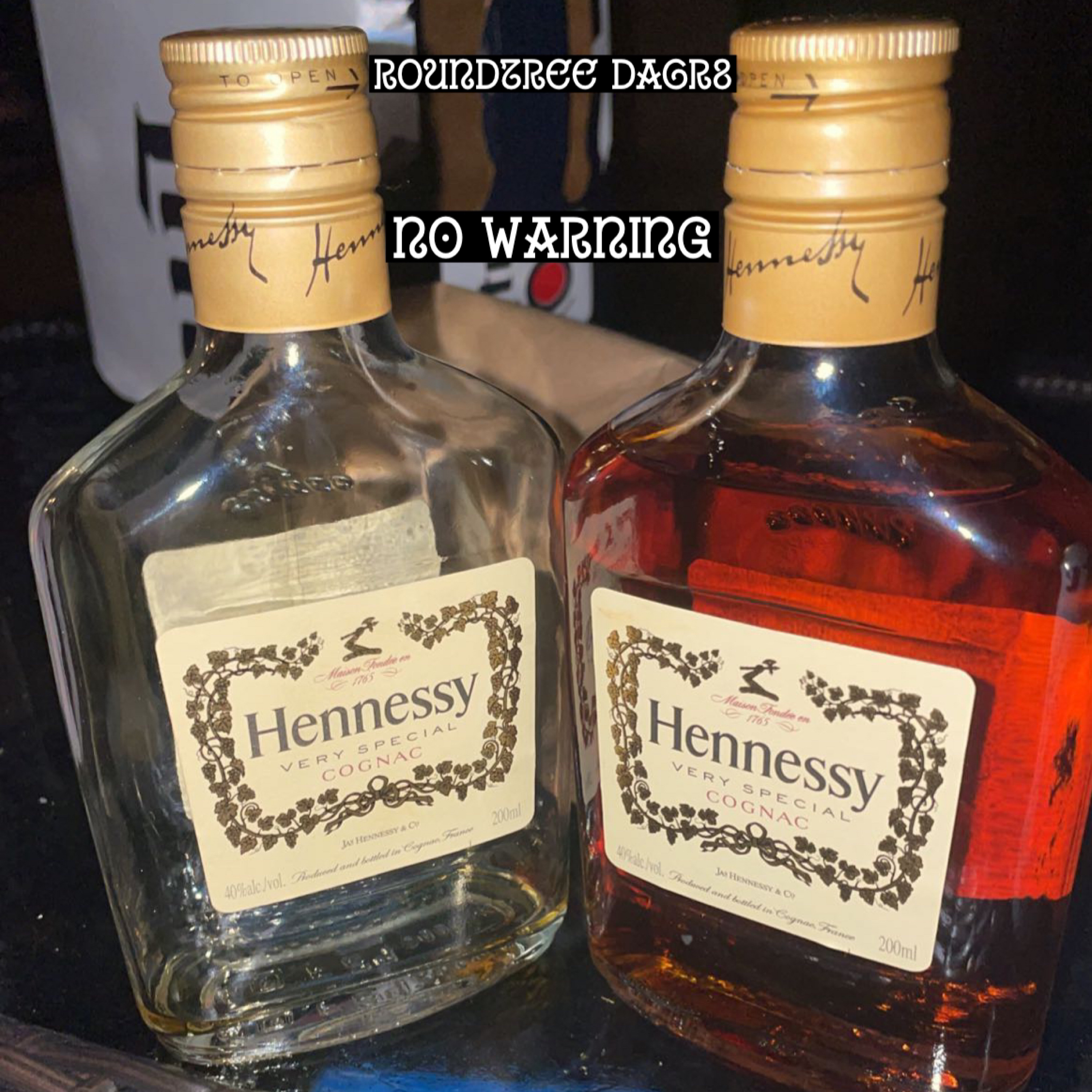 No Warning by Roundtree DaGr8 cover art