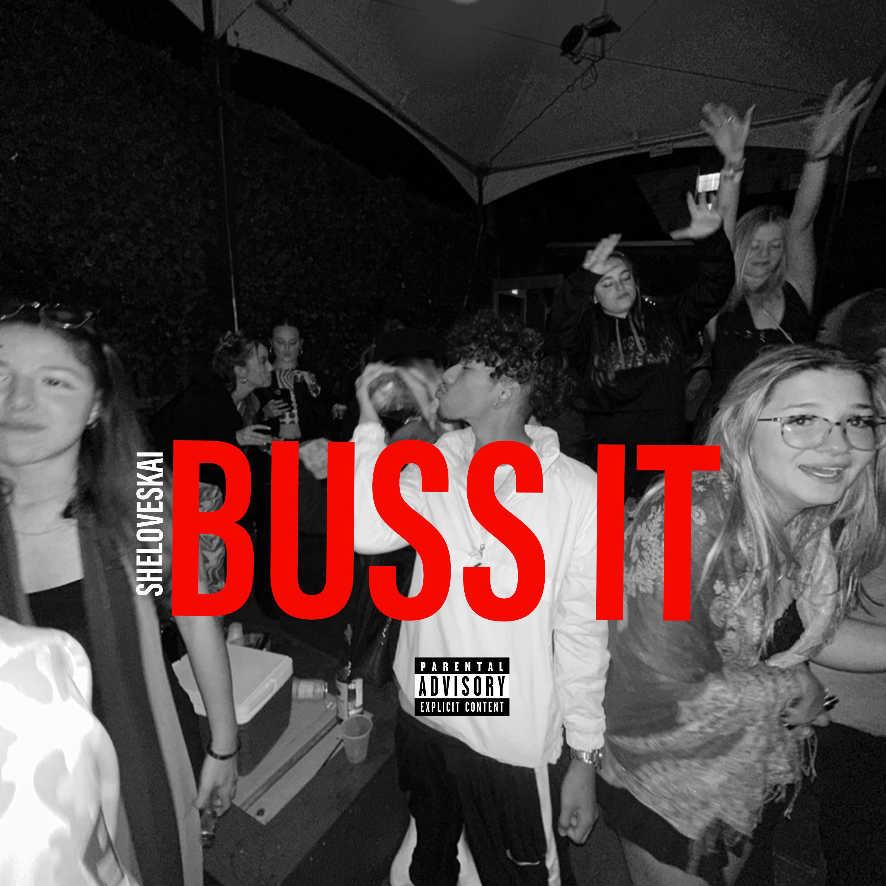 BUSS IT by Sheloveskai cover art