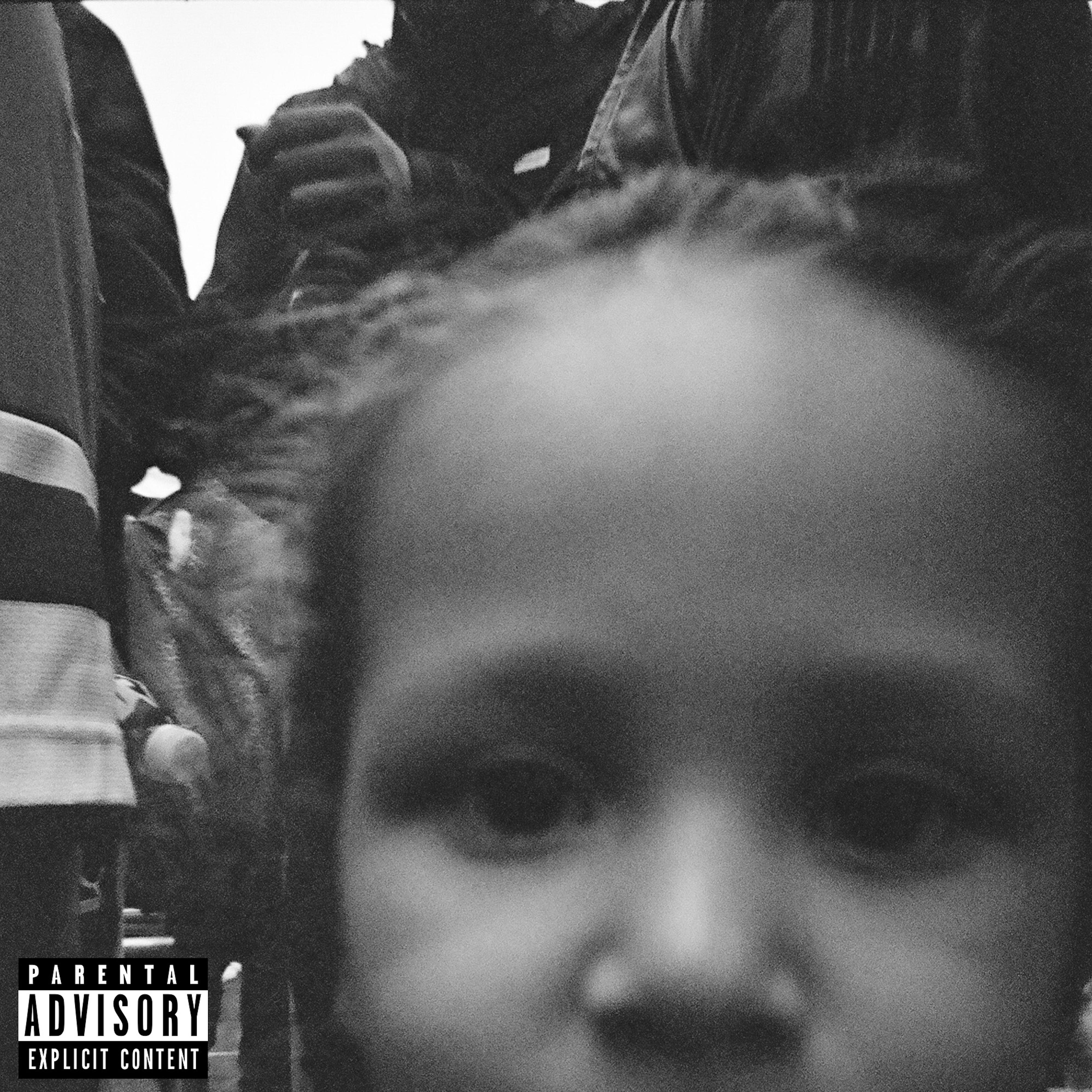 Mad Lion's Revenge artwork