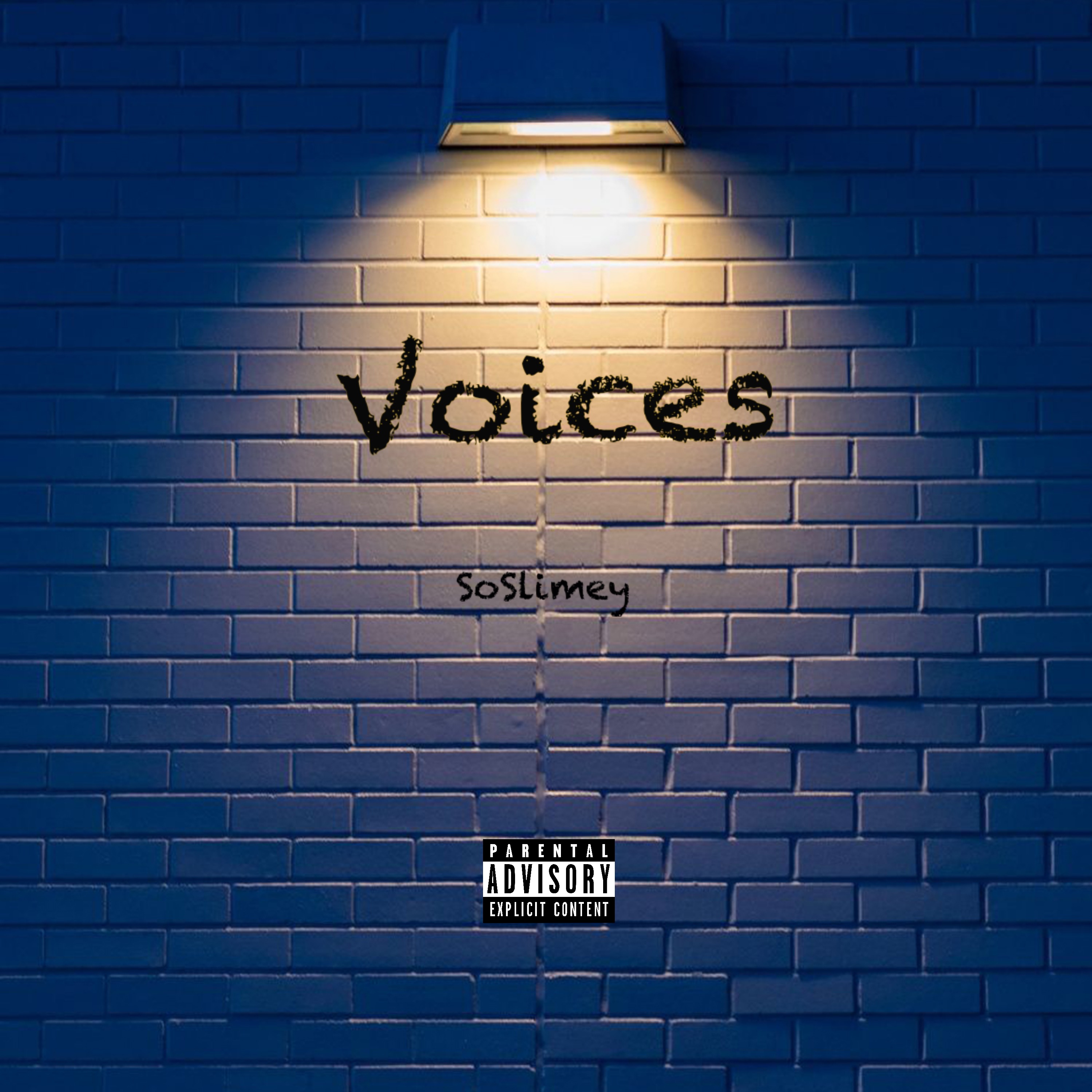 Voices artwork