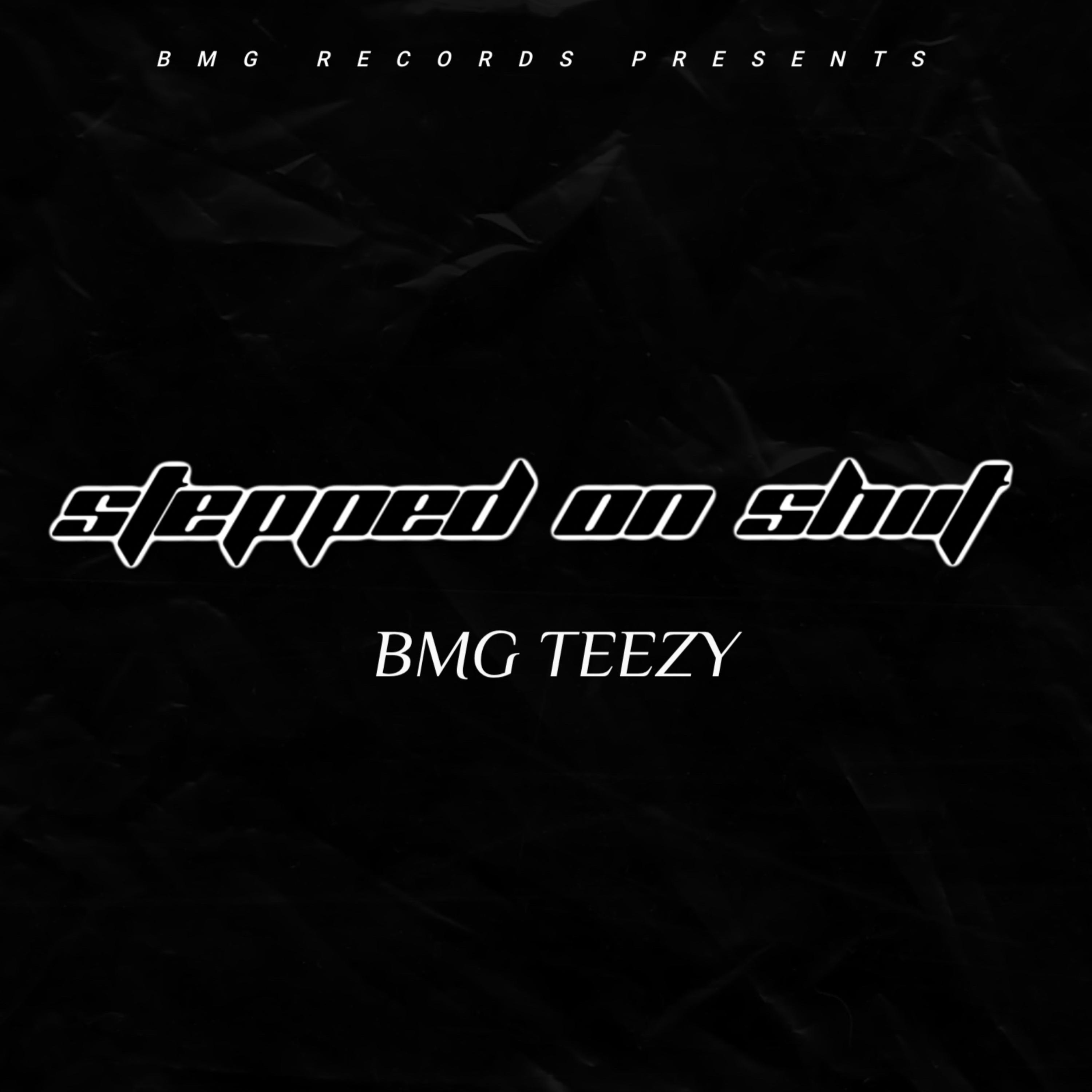 STEPPED ON SHIIT artwork