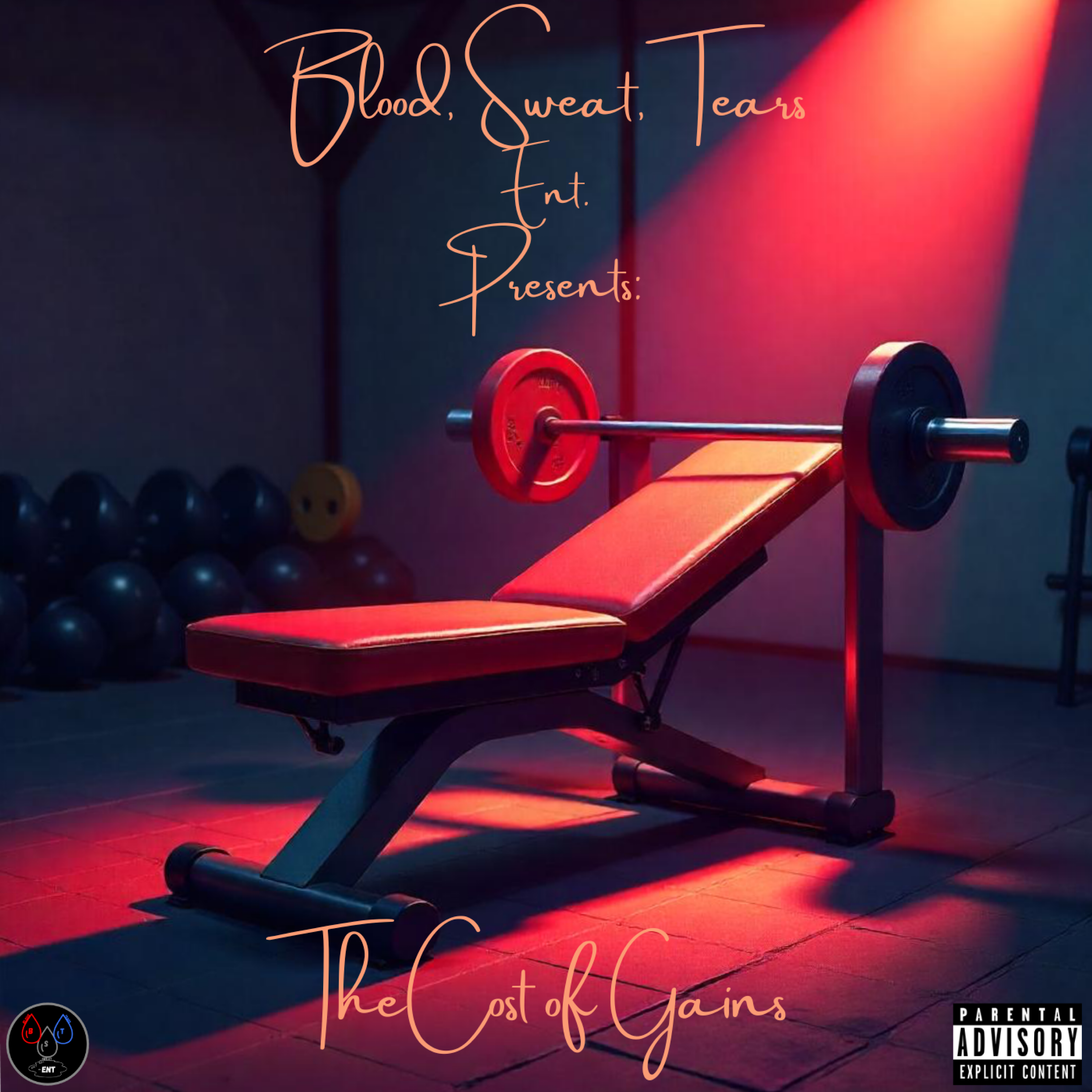 The Cost Of Gains artwork