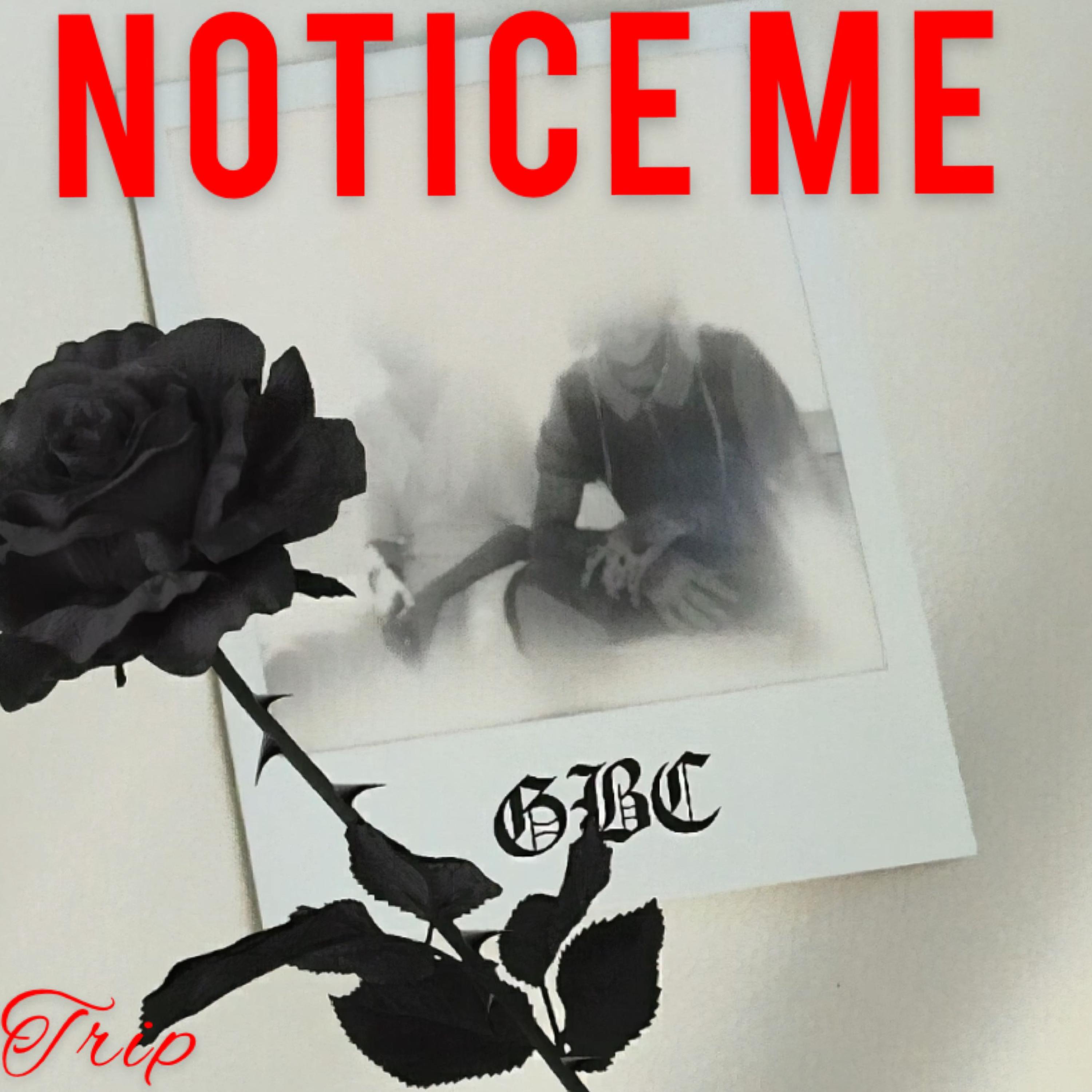 Notice Me artwork