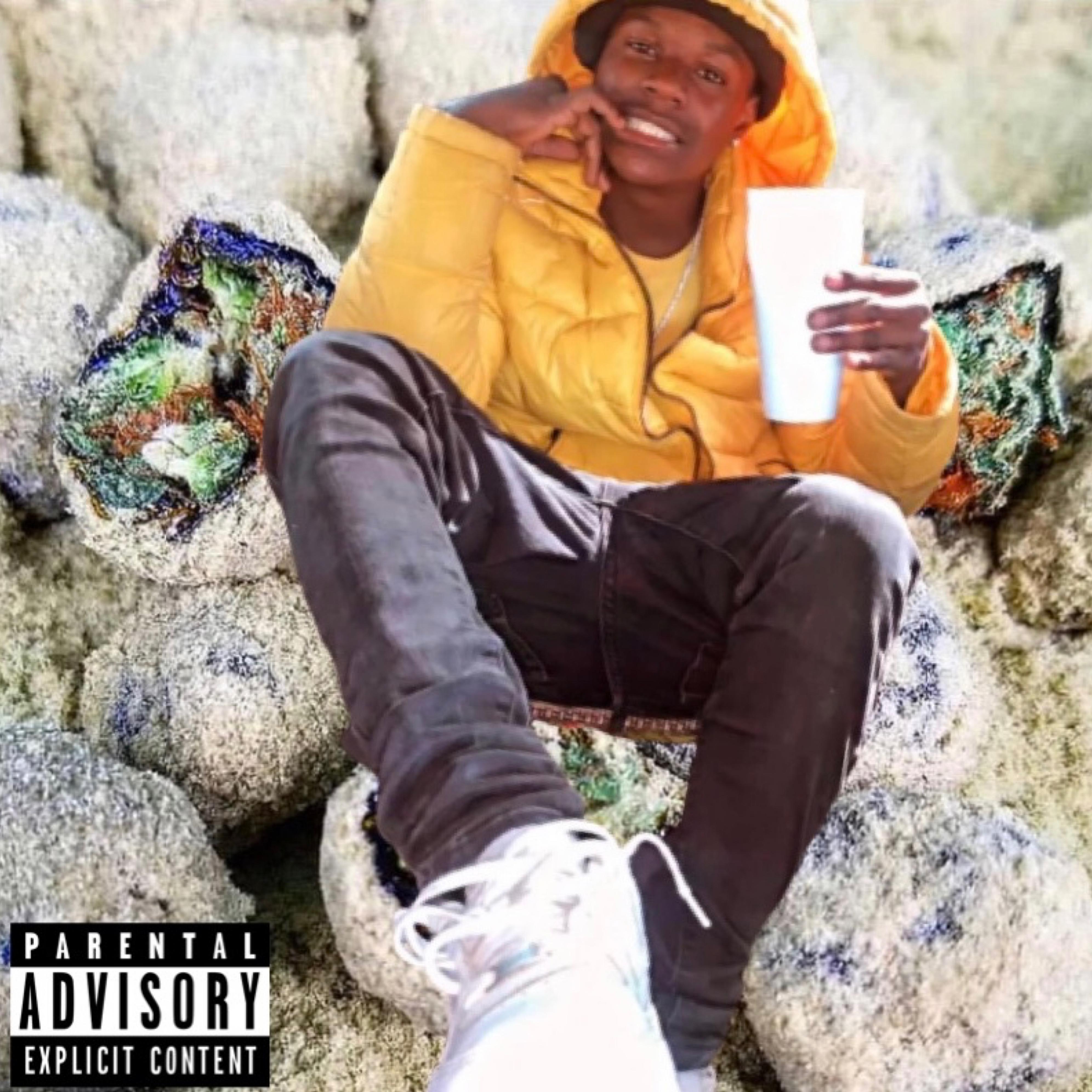 L L Z artwork