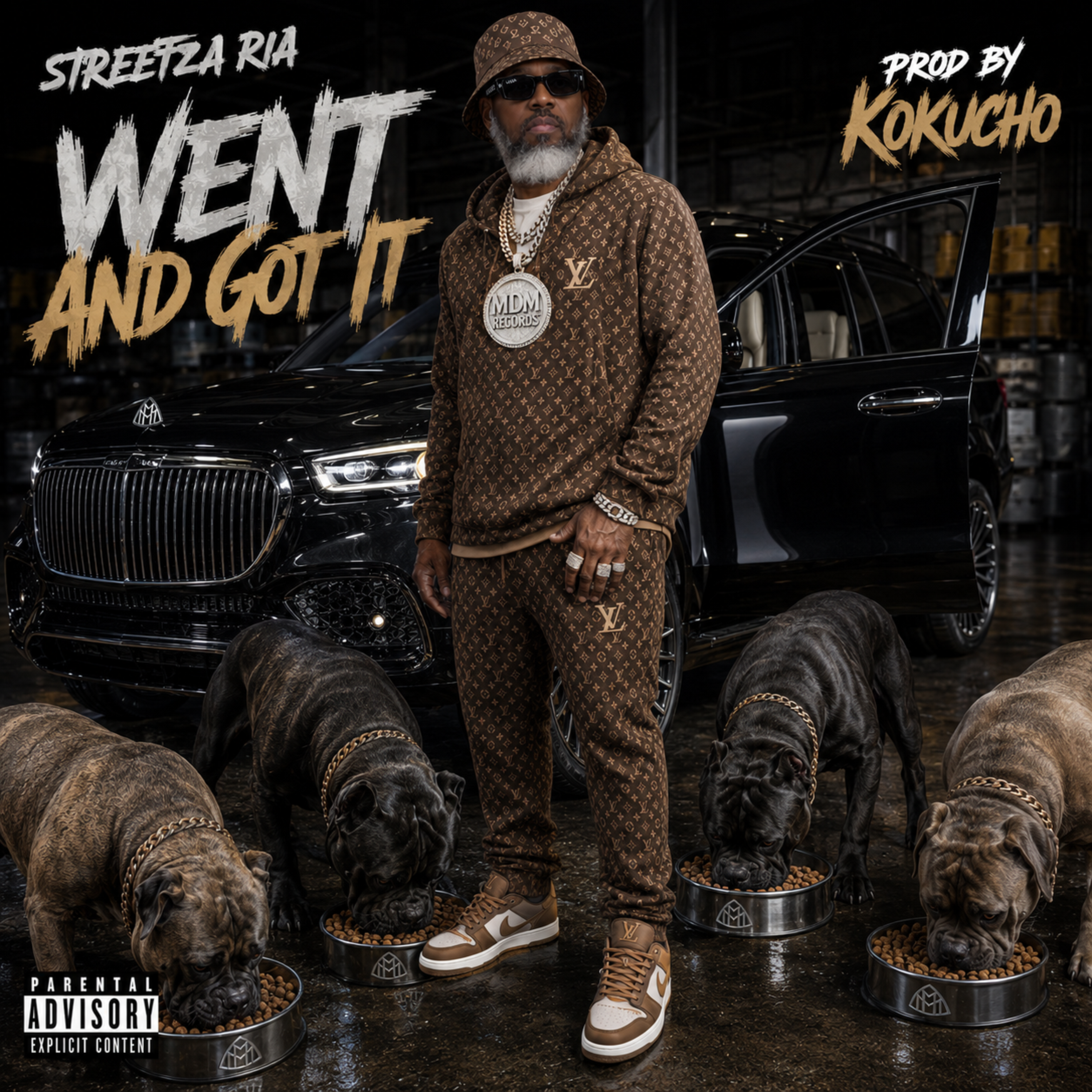 Went And Got It by Streetza Ria cover art