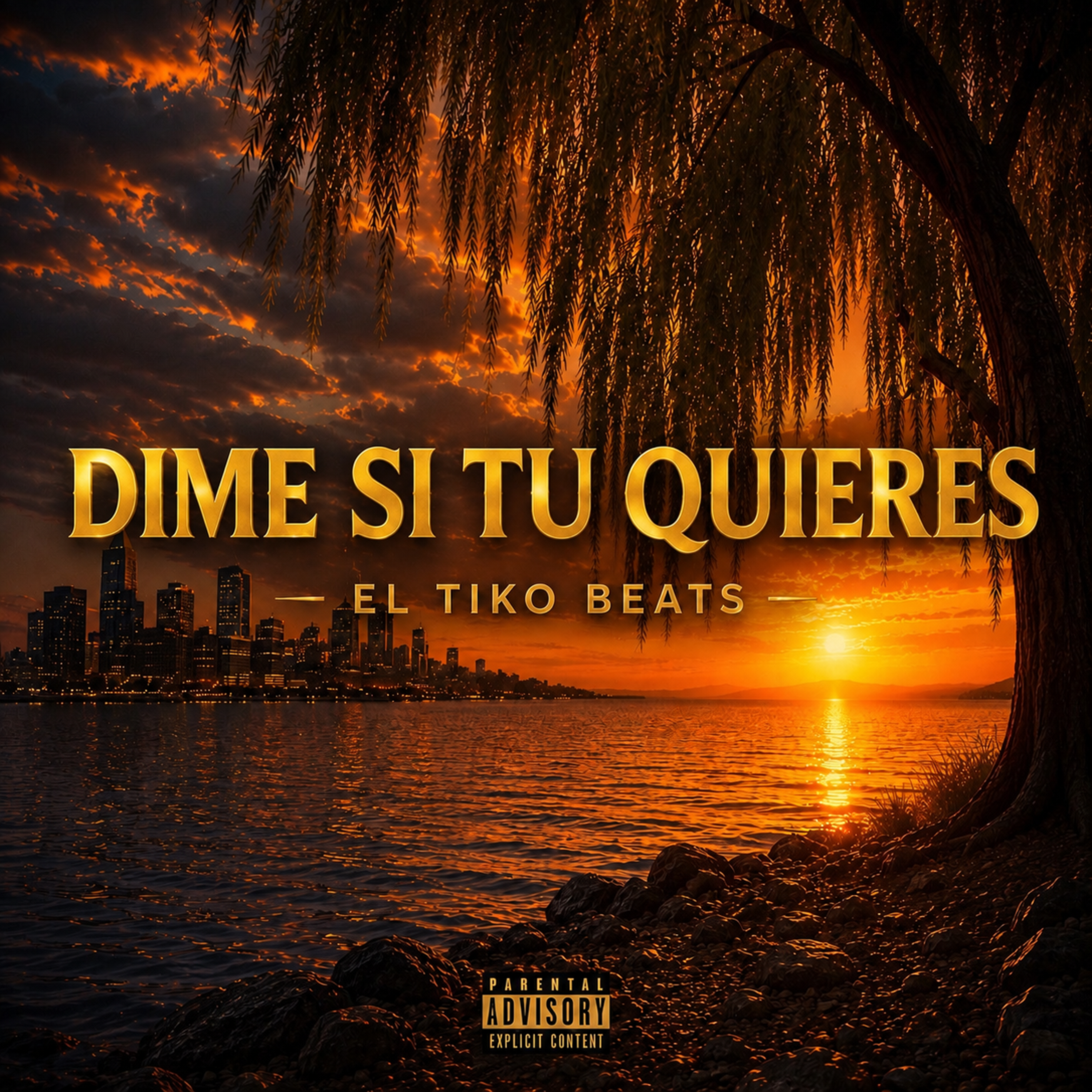 Dime si tu quieres by El Tiko Beats cover art