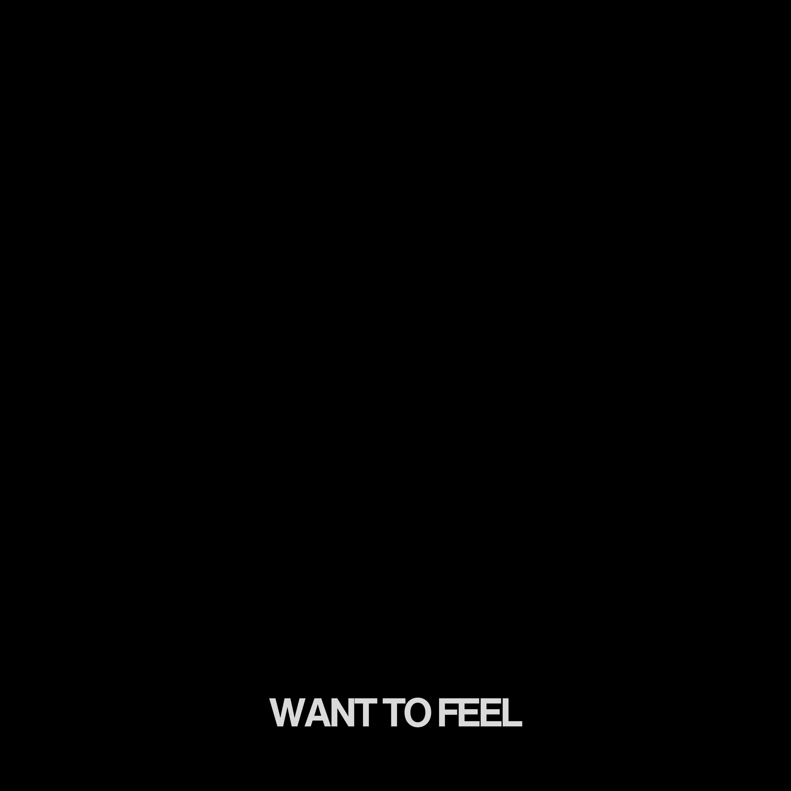 WANT TO FEEL artwork