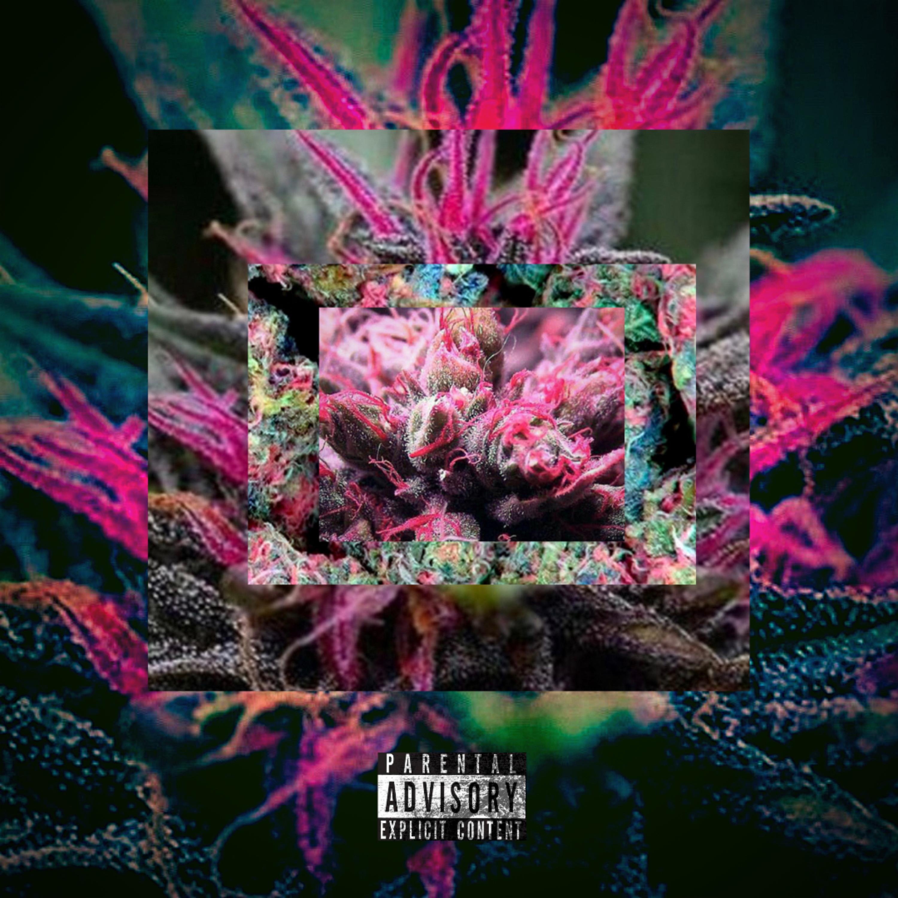 3 IN THE PINK by Koughsyrupp cover art
