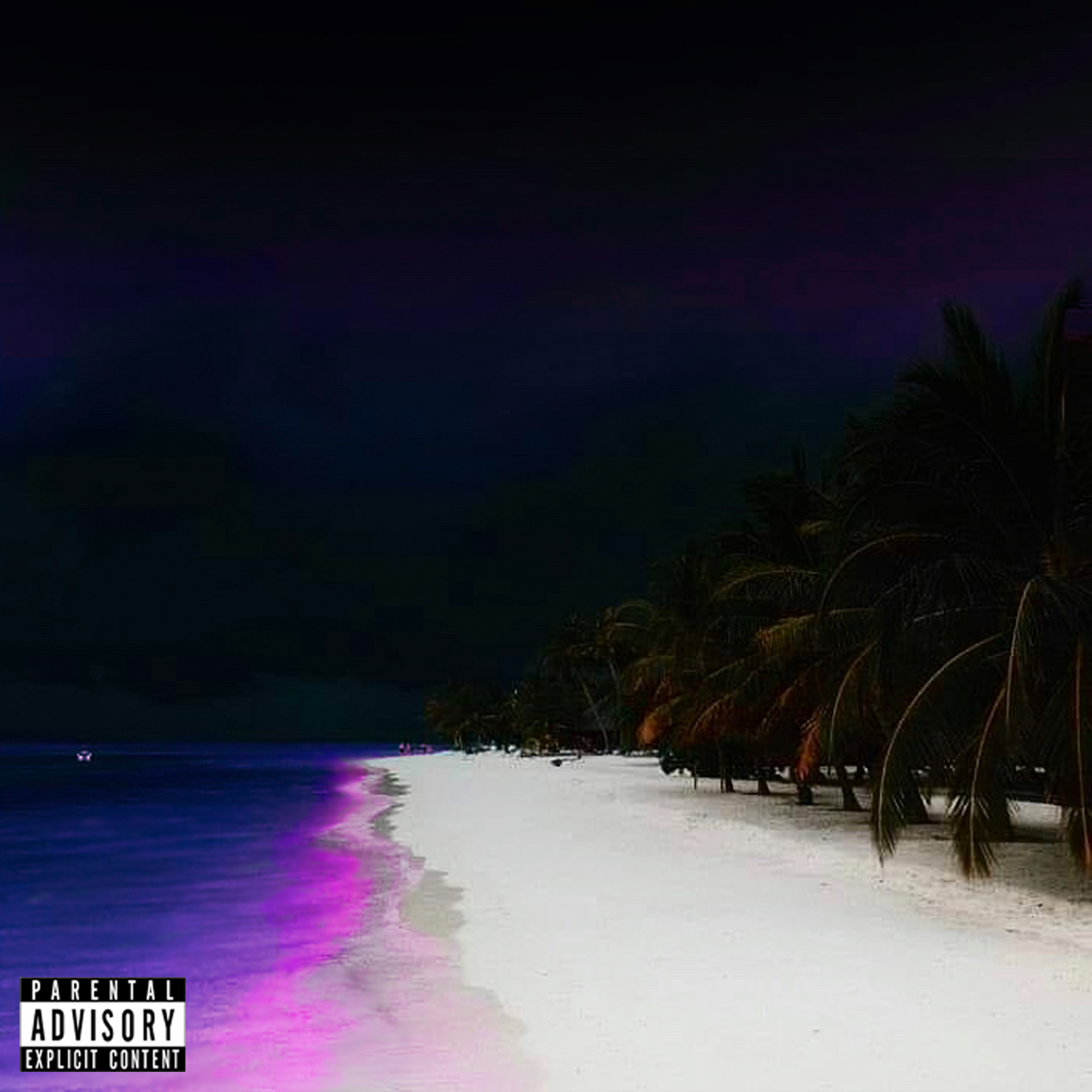 Geechi Wonder 3 artwork
