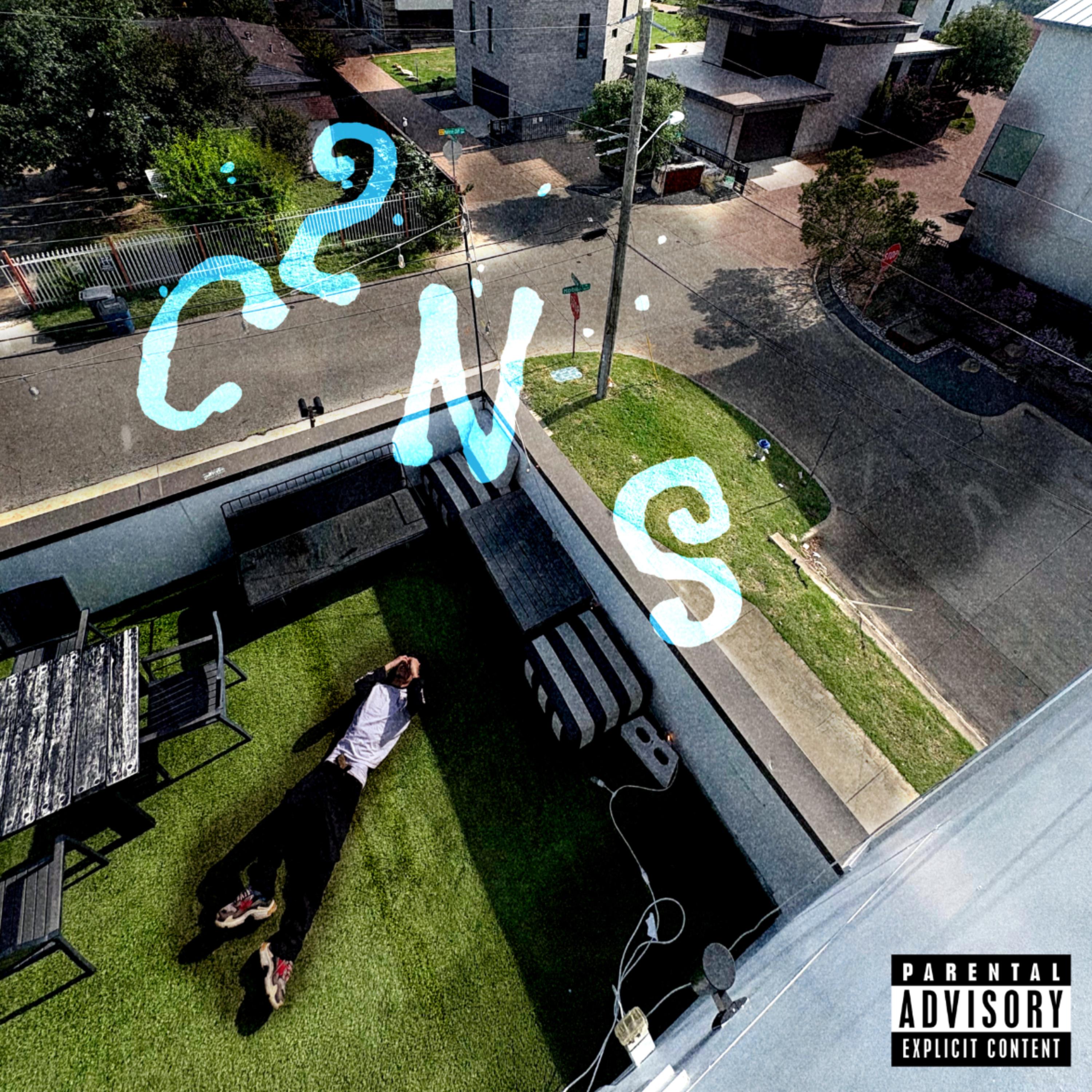 C2NS artwork