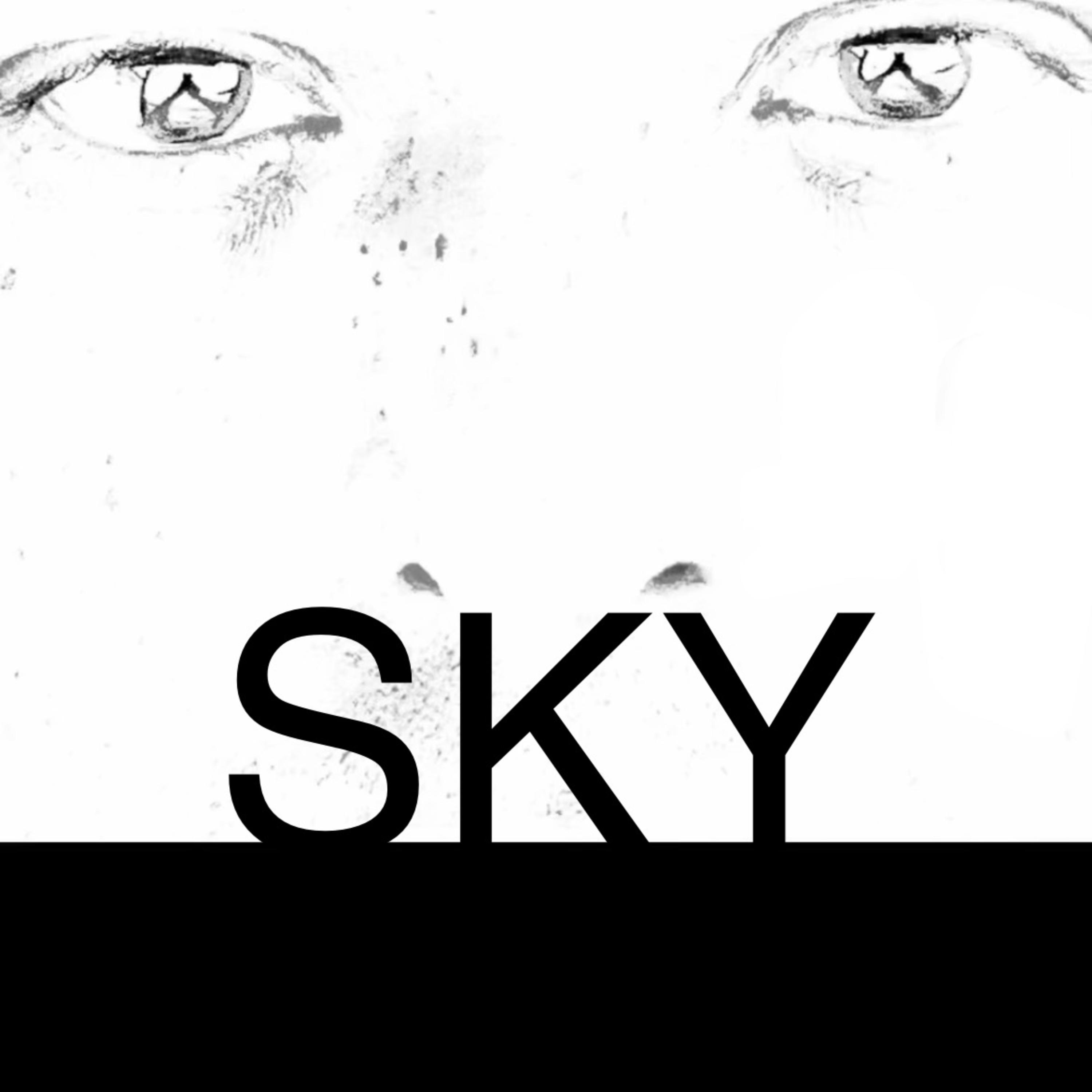 SKY artwork