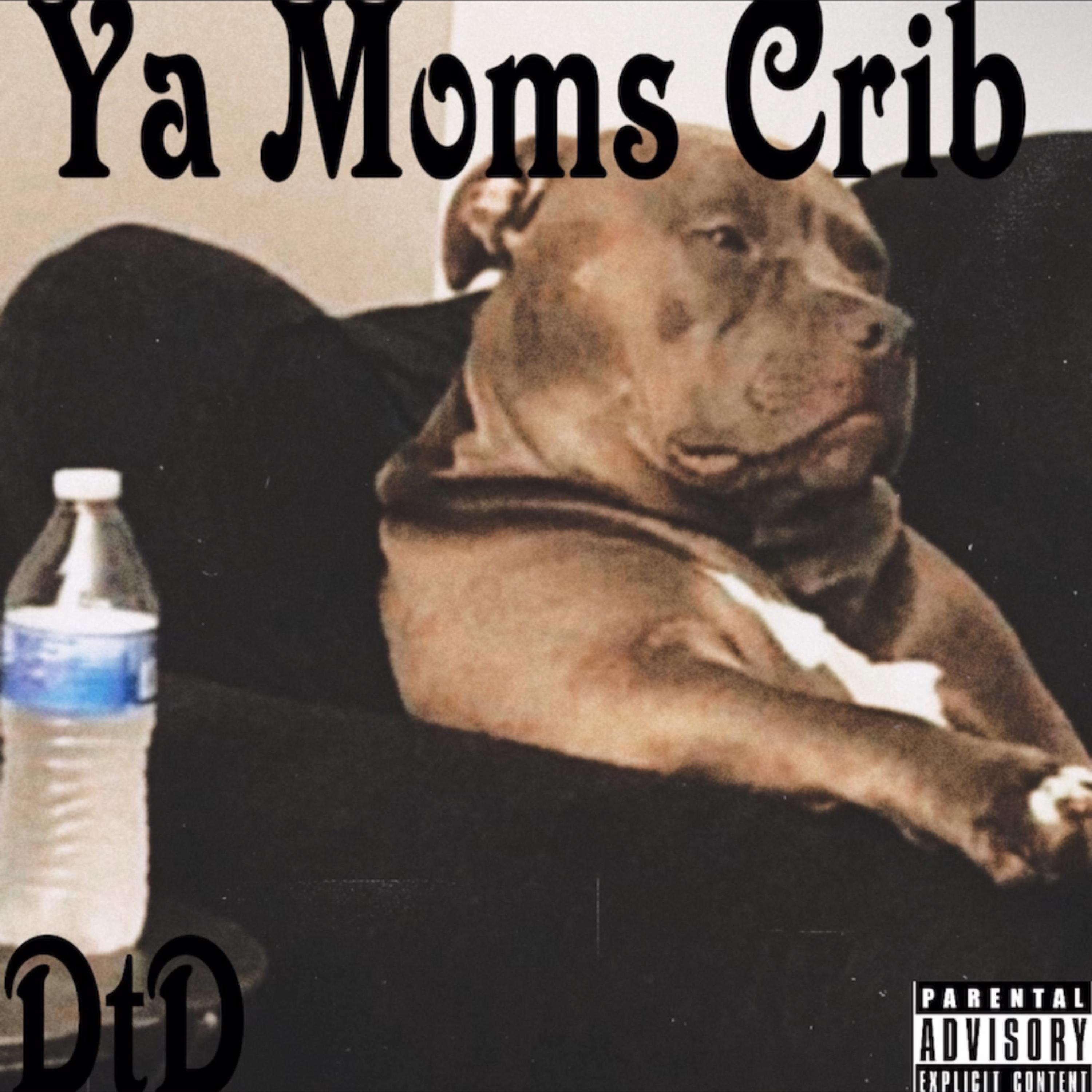 Ya Moms Crib artwork