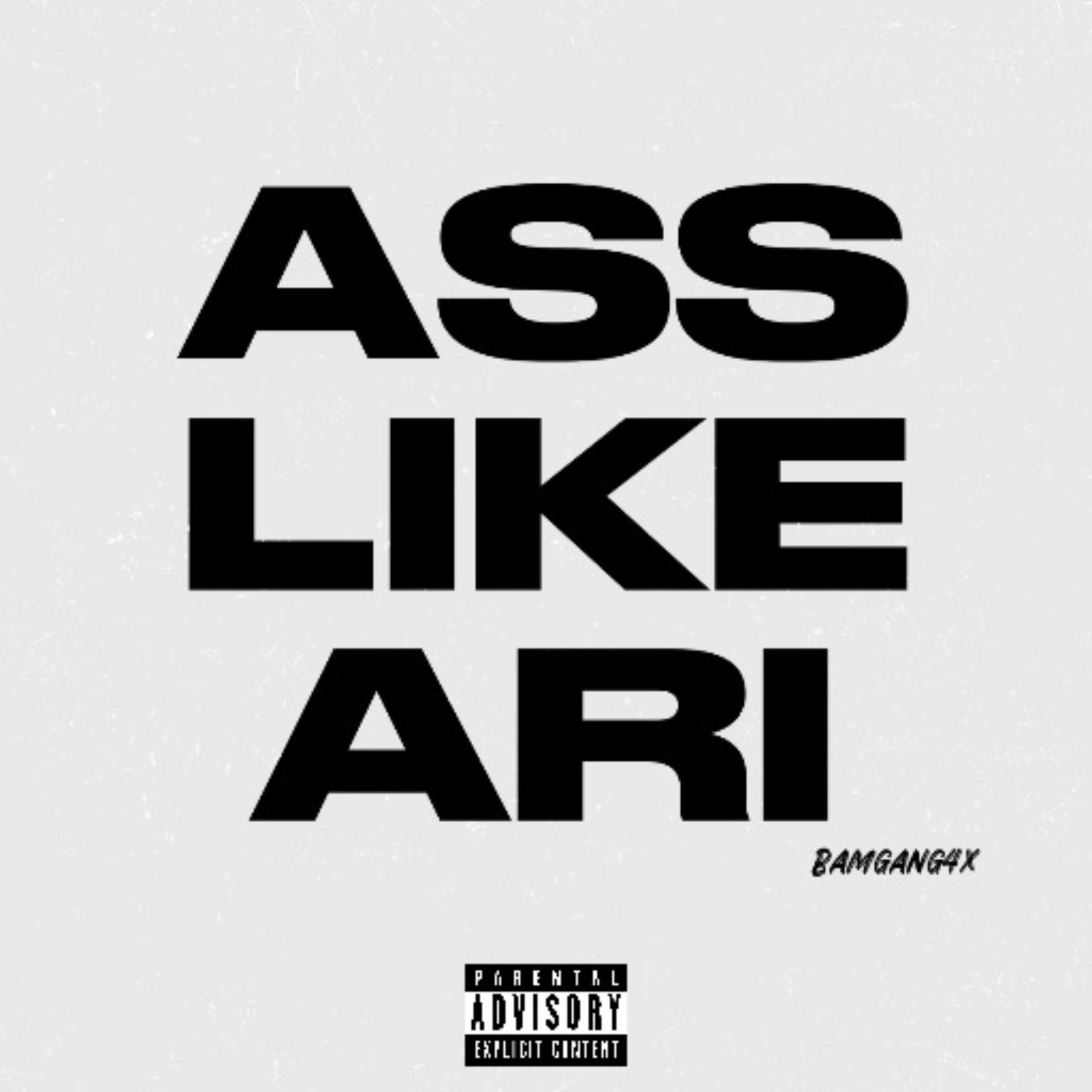 Ass Like Ari artwork