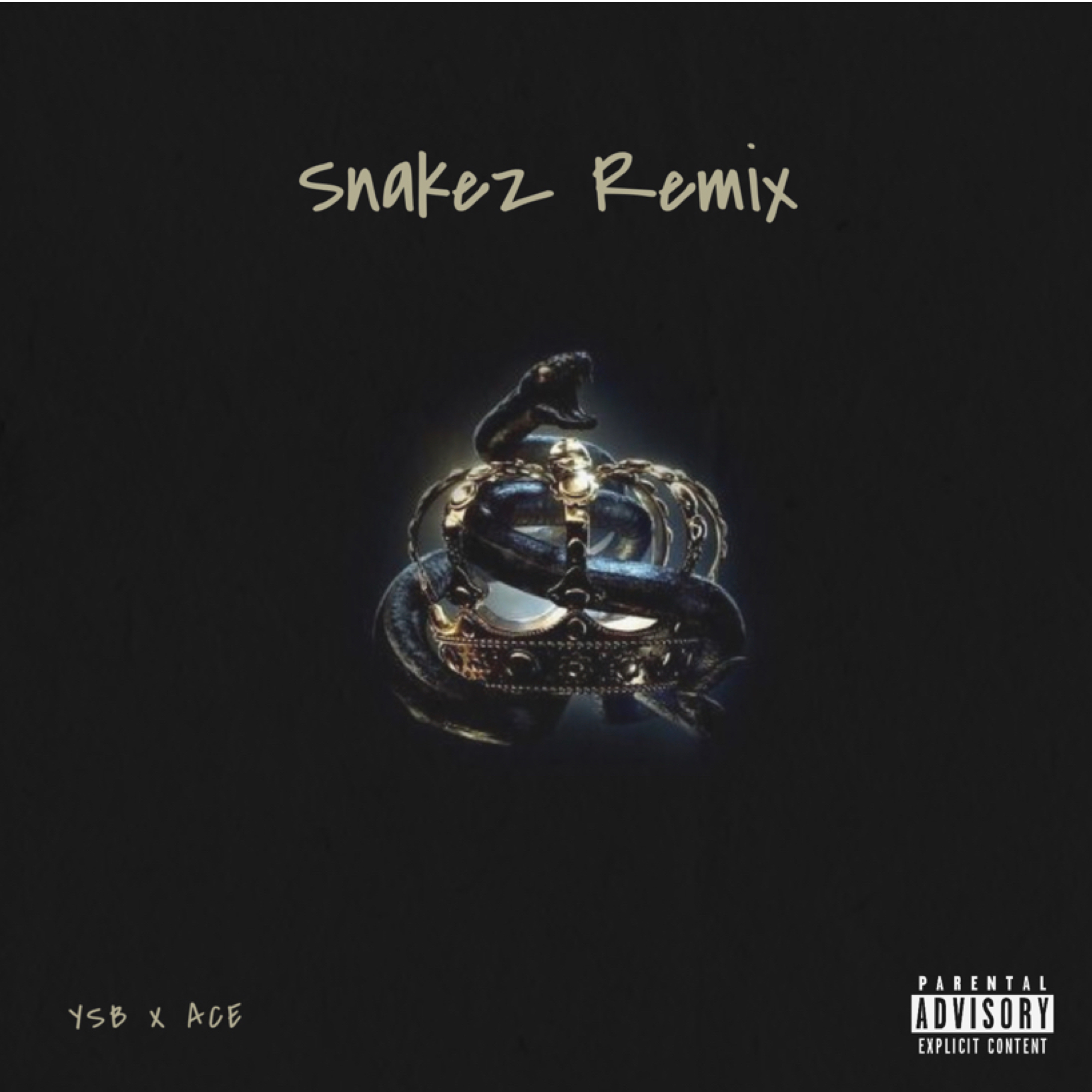 Snakez Remix artwork