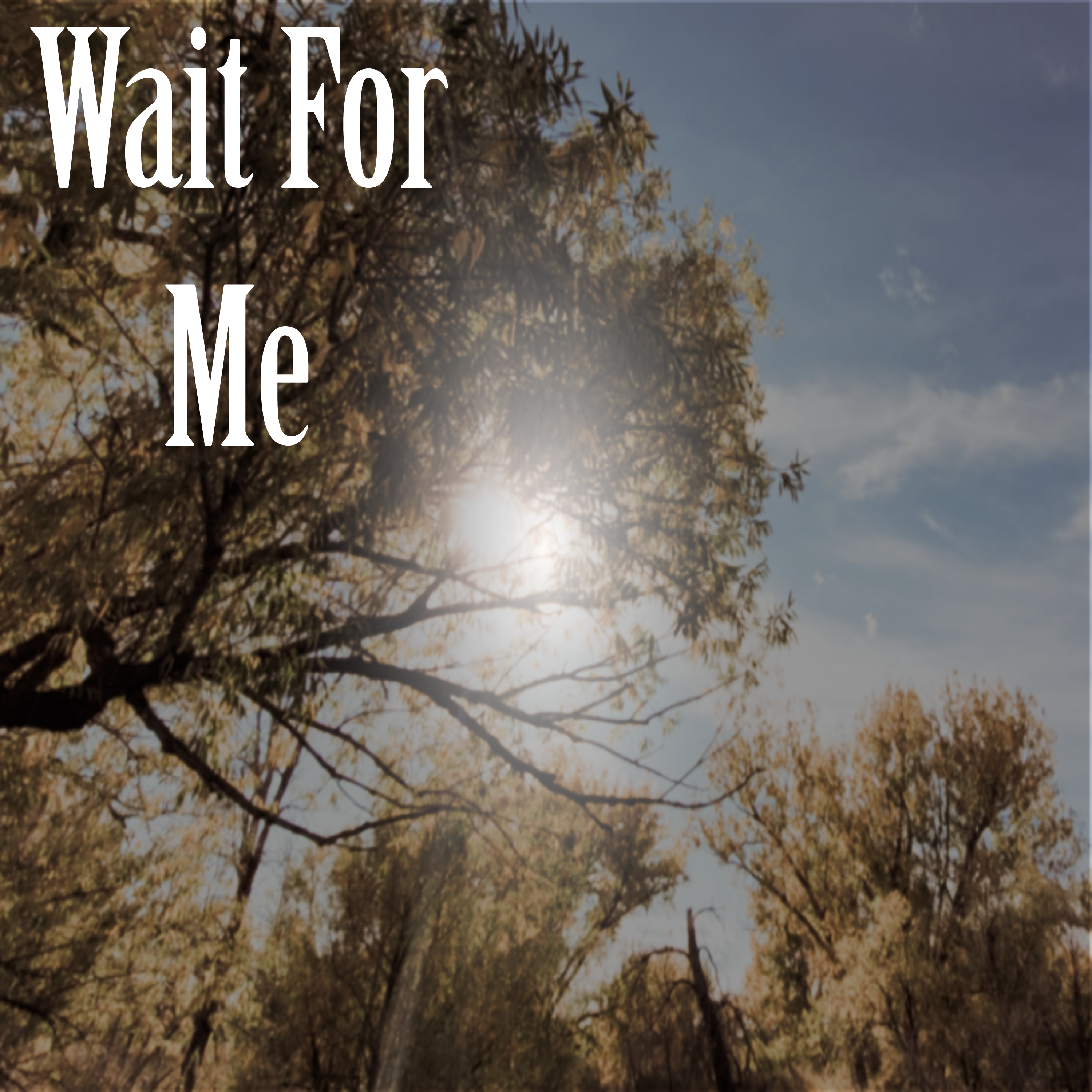 Wait For Me artwork