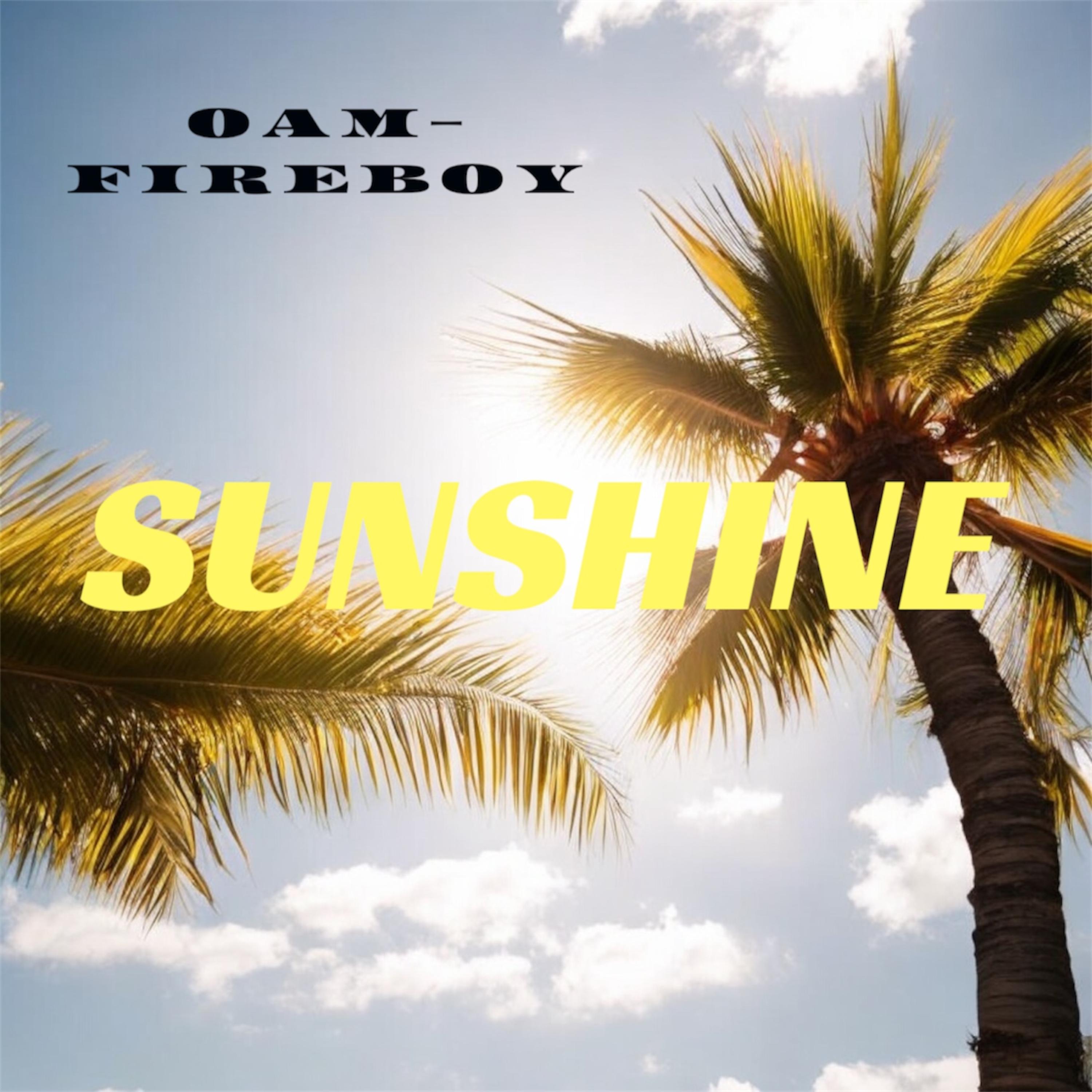 SUN SHINE artwork