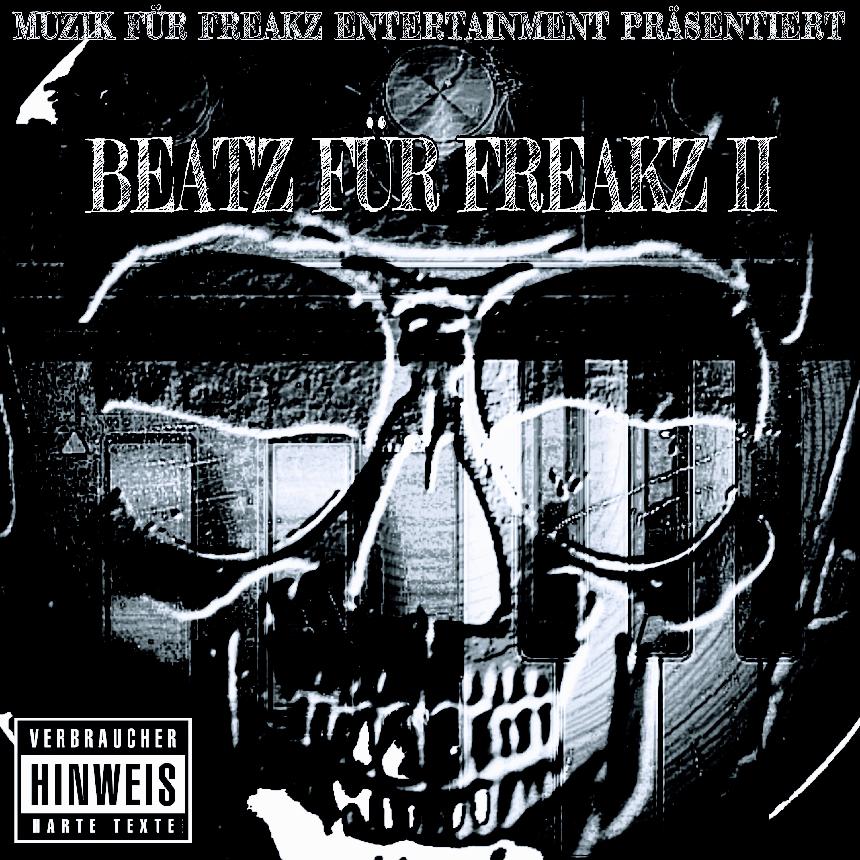BEATZ FÜR FREAKZ II artwork