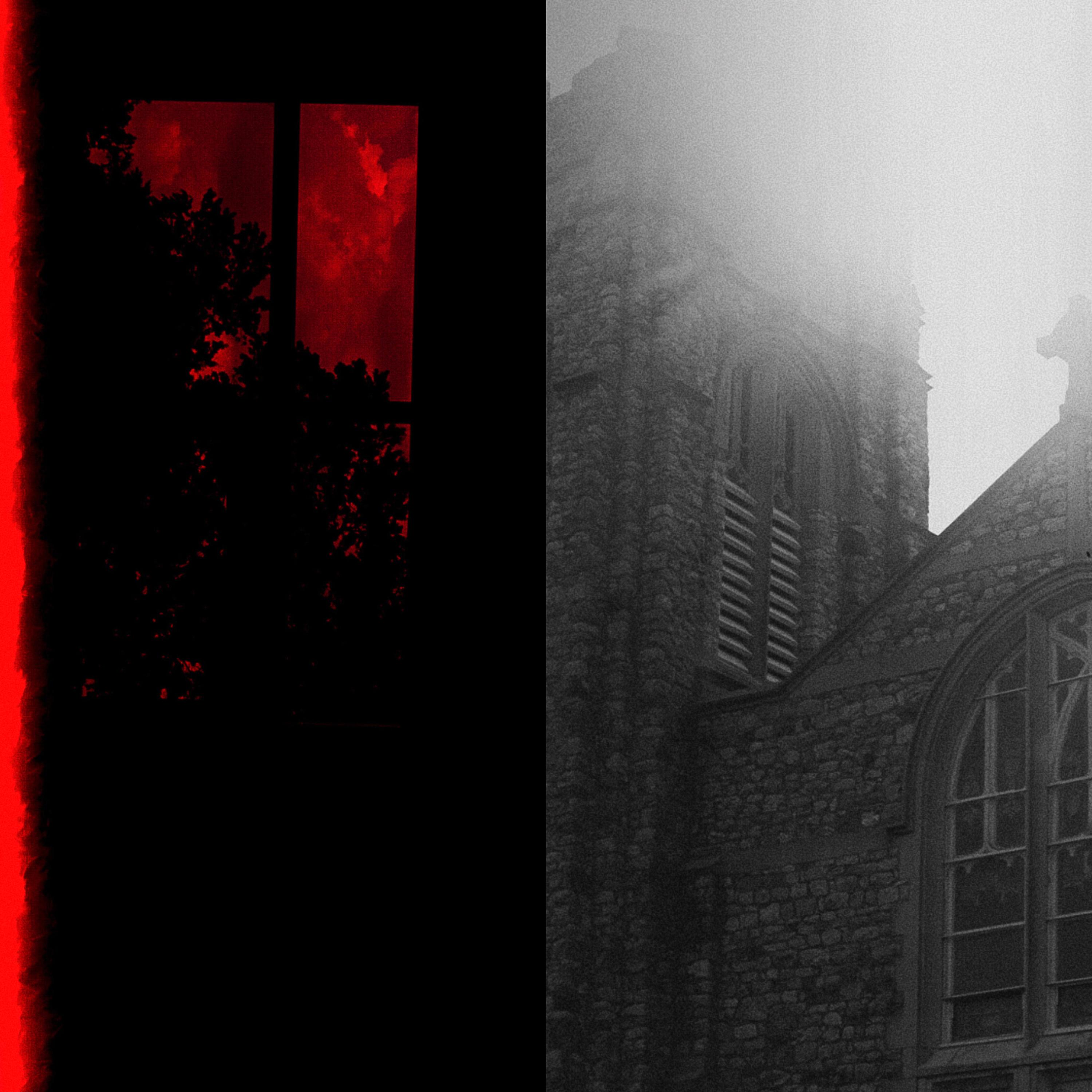 ALIGHT artwork